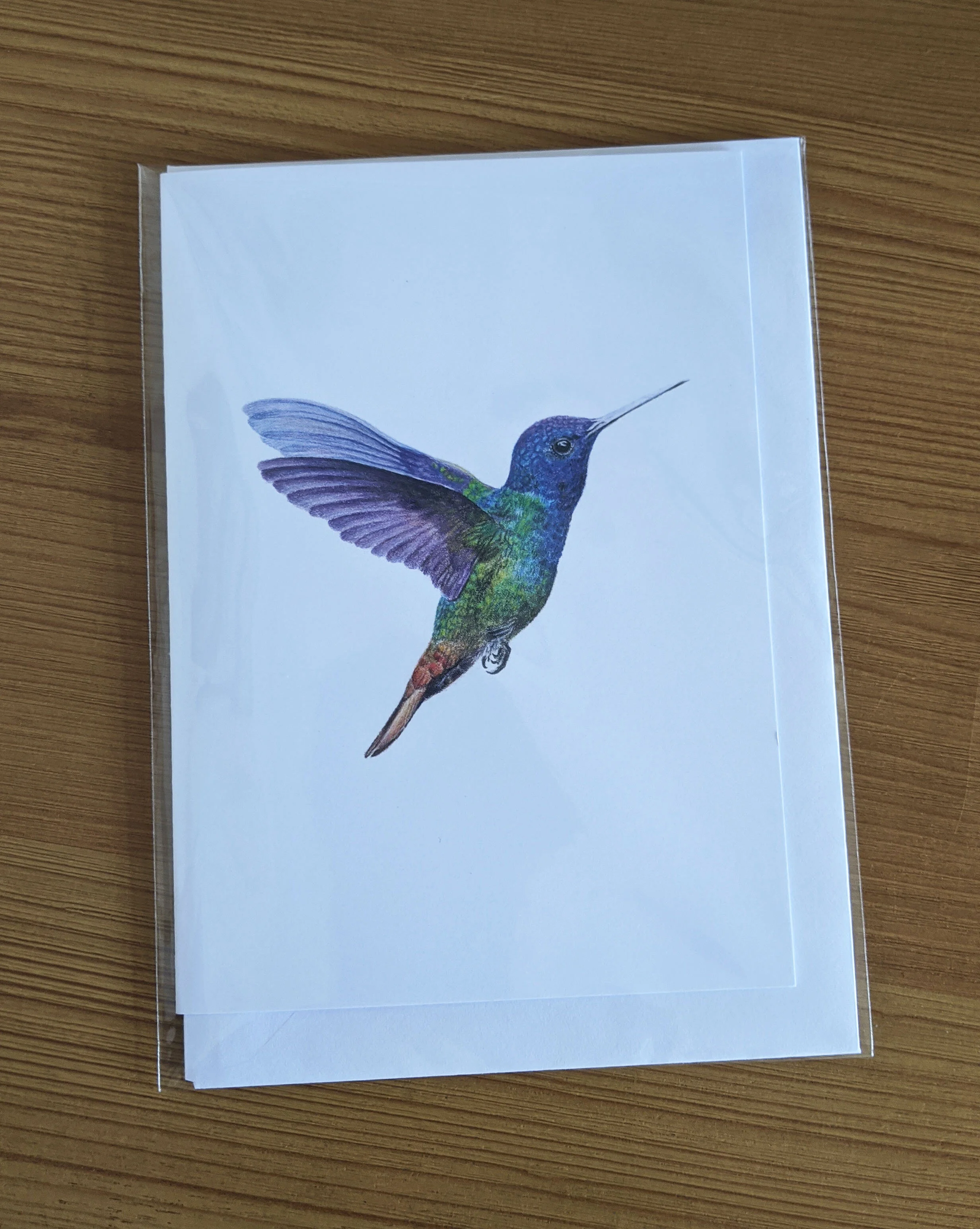 hb in flight card 2.jpg