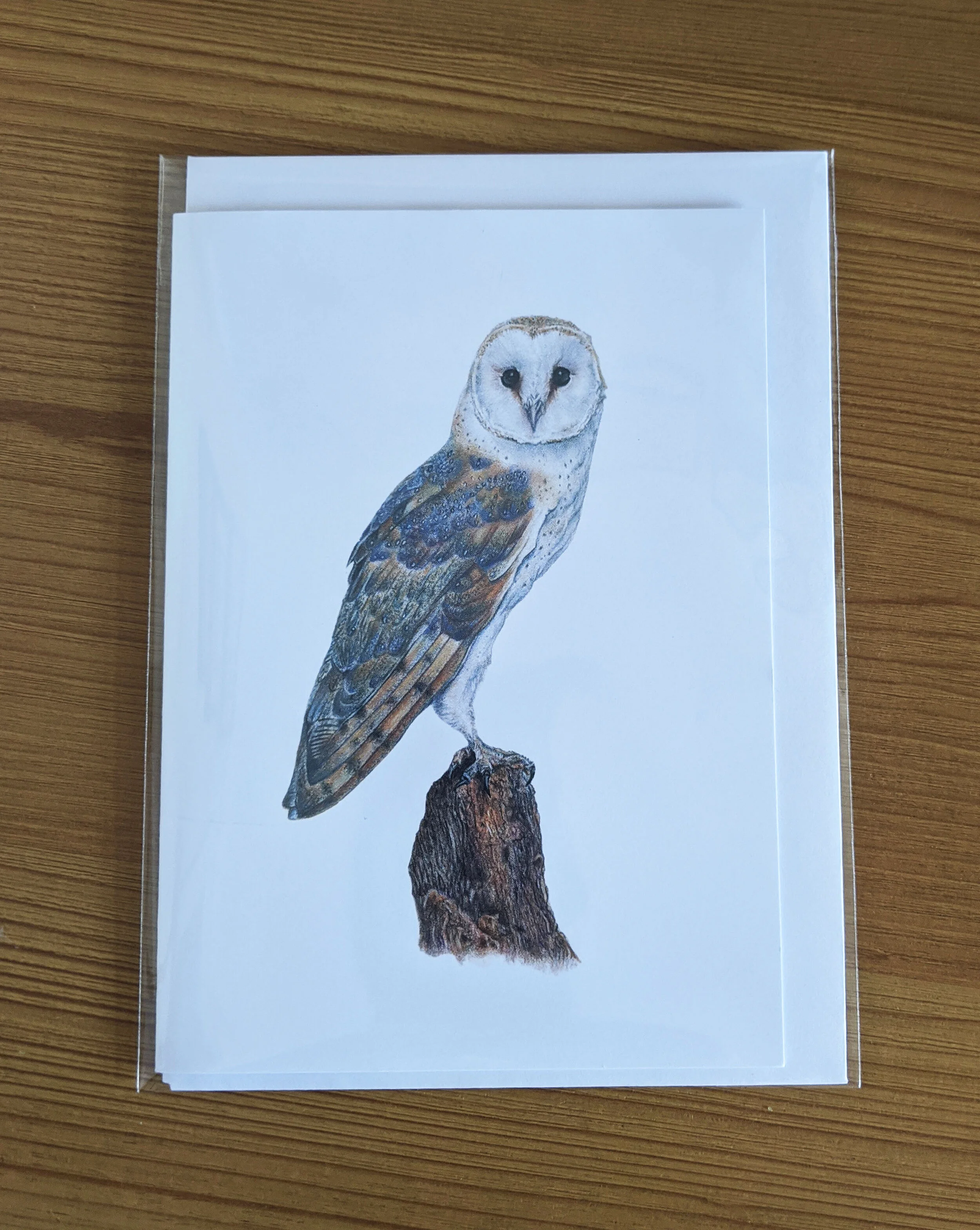owl card 2.jpg