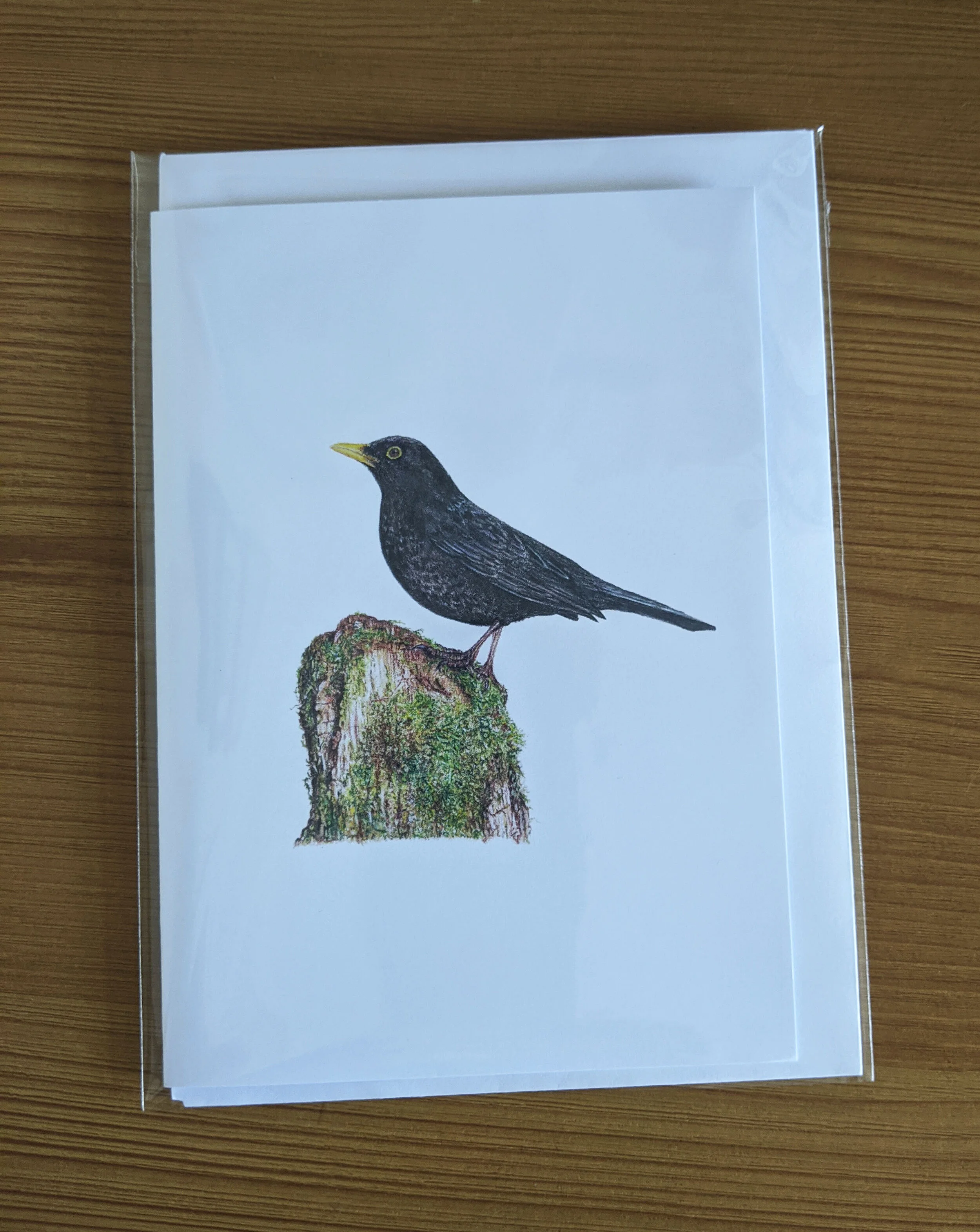 blackbird card 2.jpg