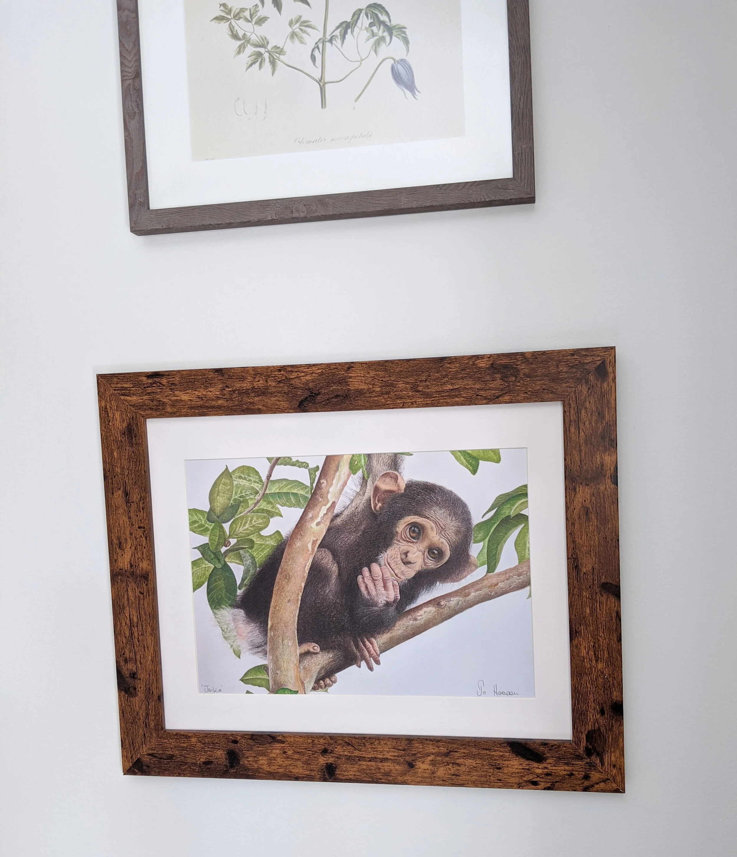 framed print.jpg