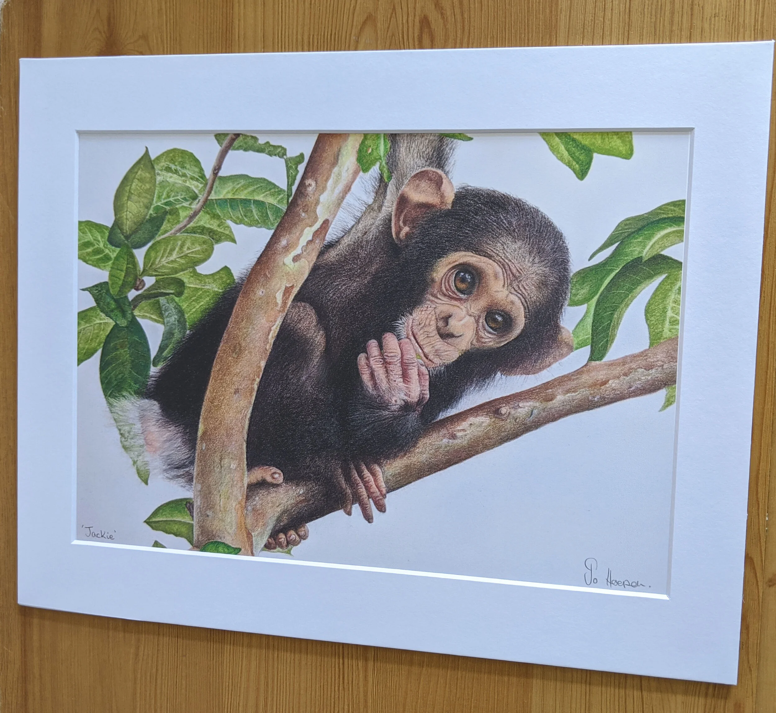 mounted print.jpg