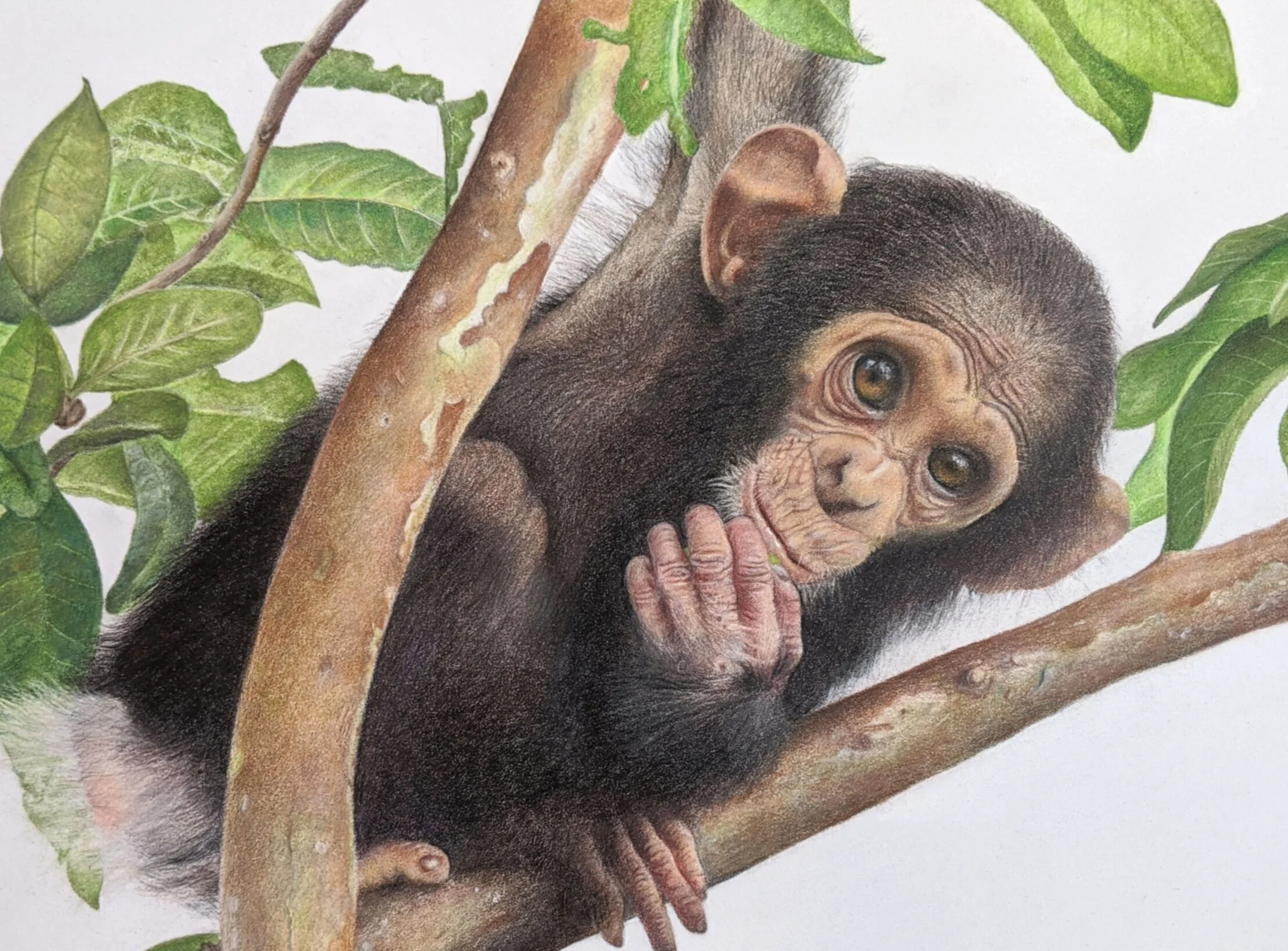 Jackie - a very special infant