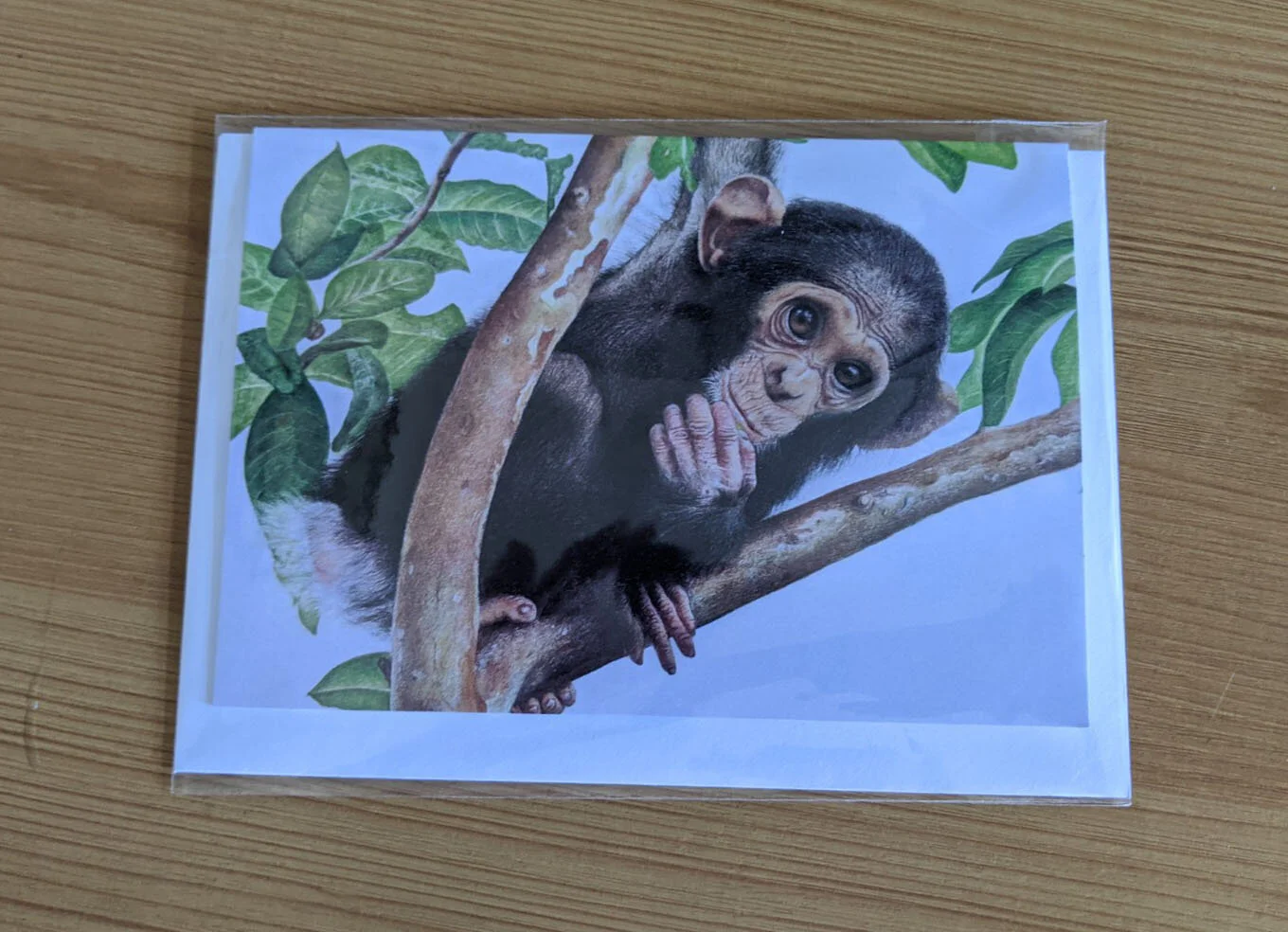 card wrapped.jpg
