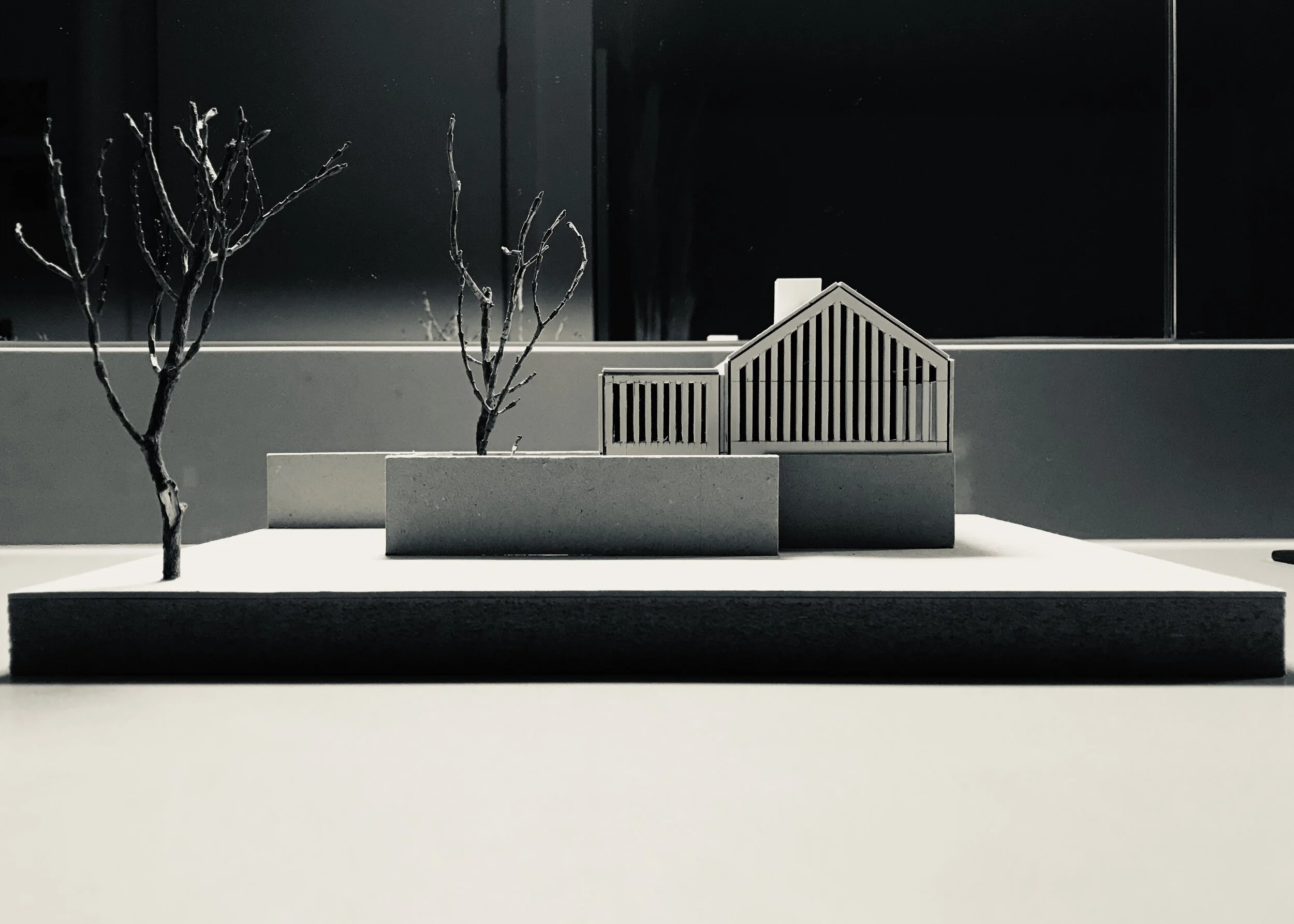 Ian Chin Architects — IMG_4282 2.jpeg