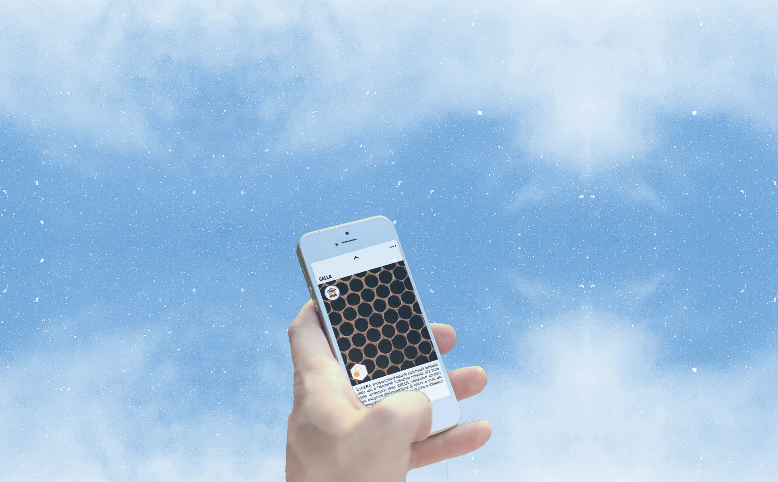 sfondo azzurro cielo.jpg