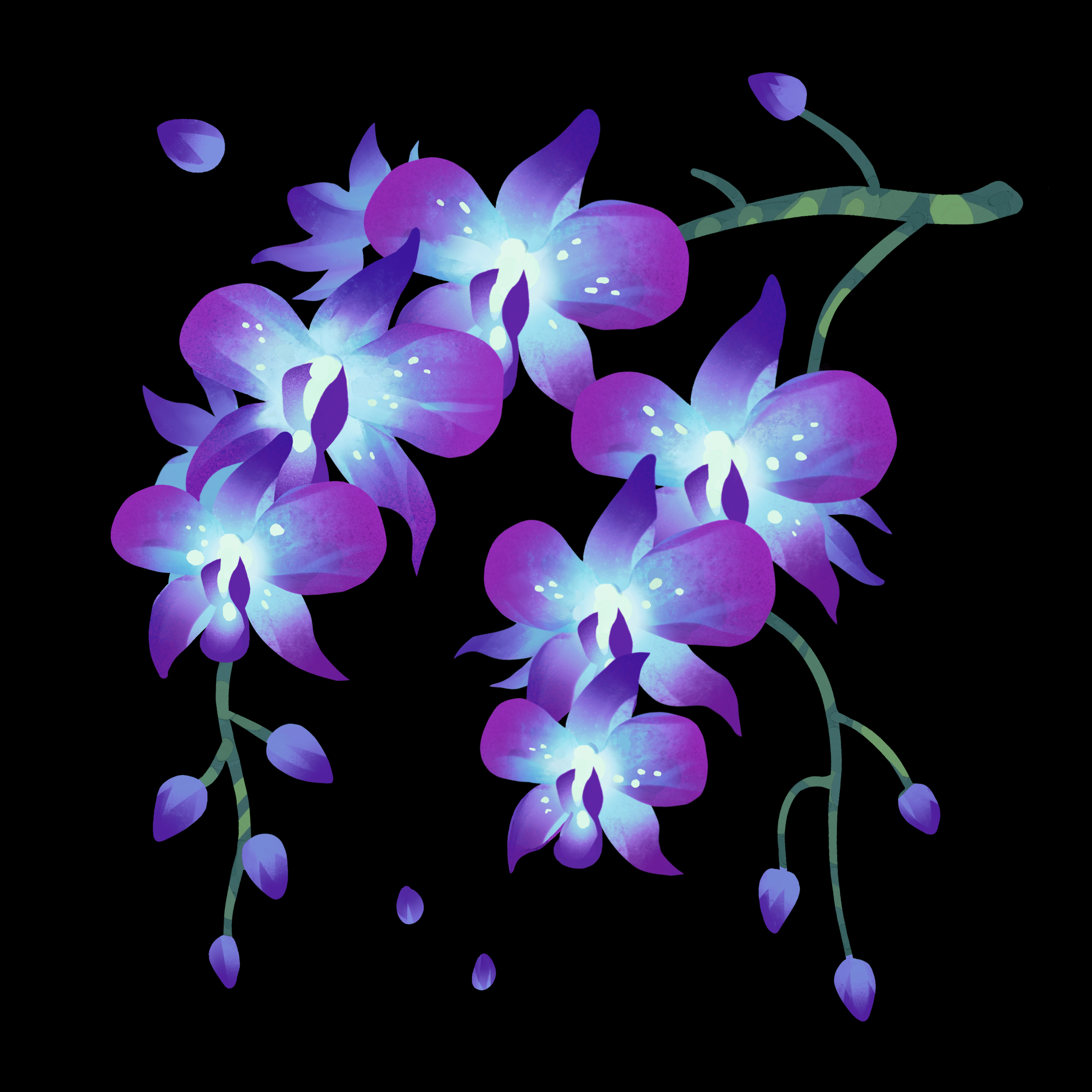 Orchid.png