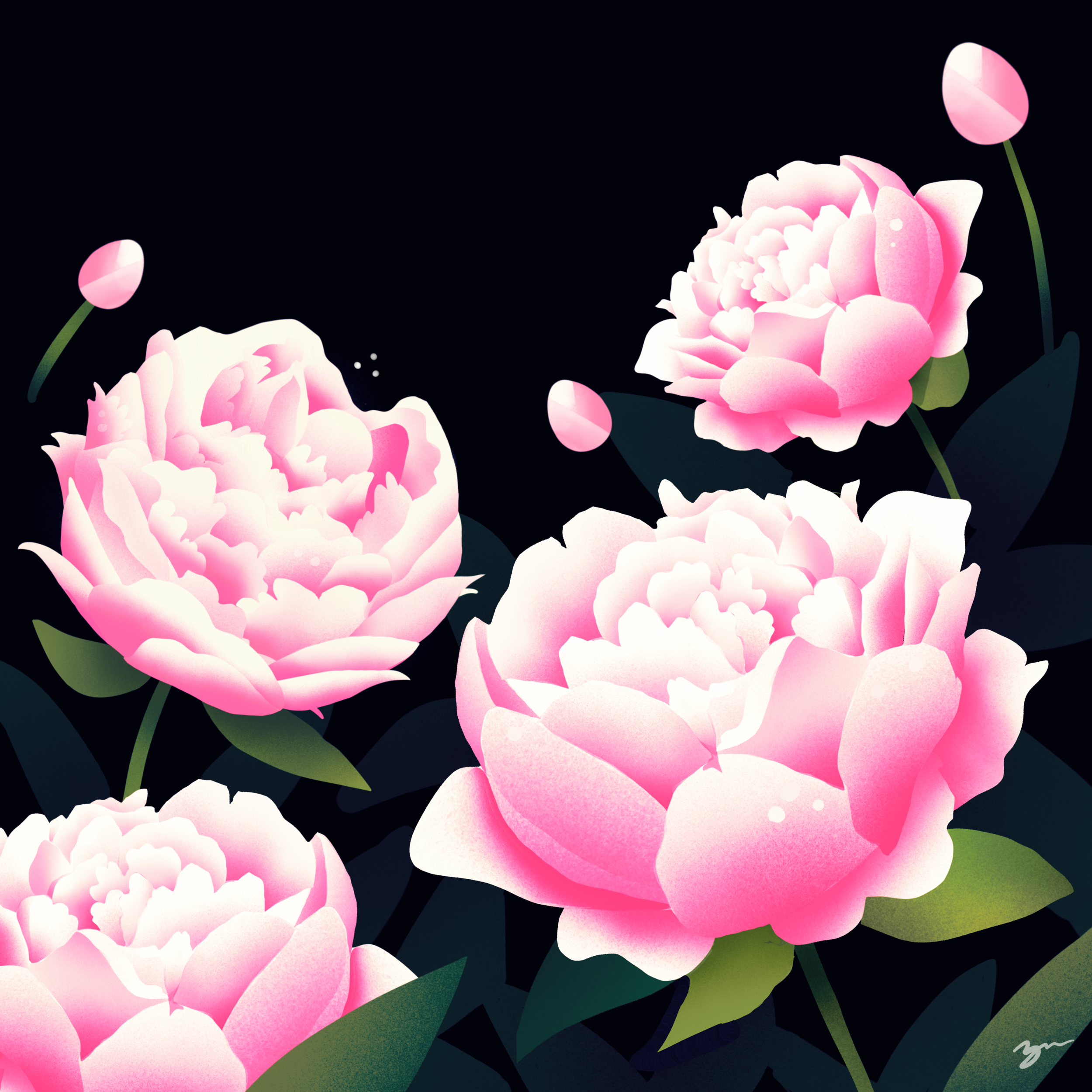 Untitled_Artwork 9.png