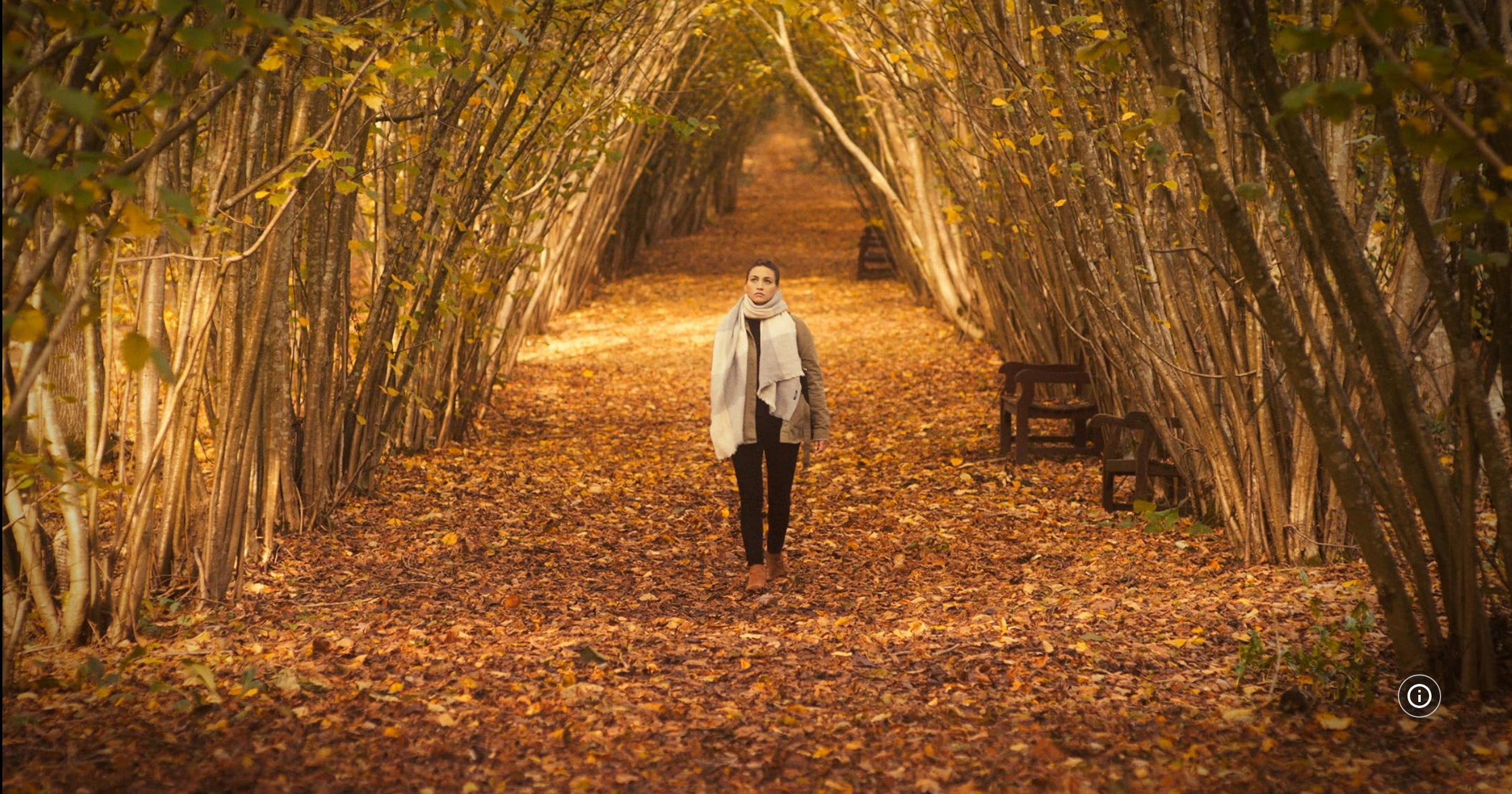 Screenshot 2024-12-16 at 21-47-38 The Last Time You Saw Me.png