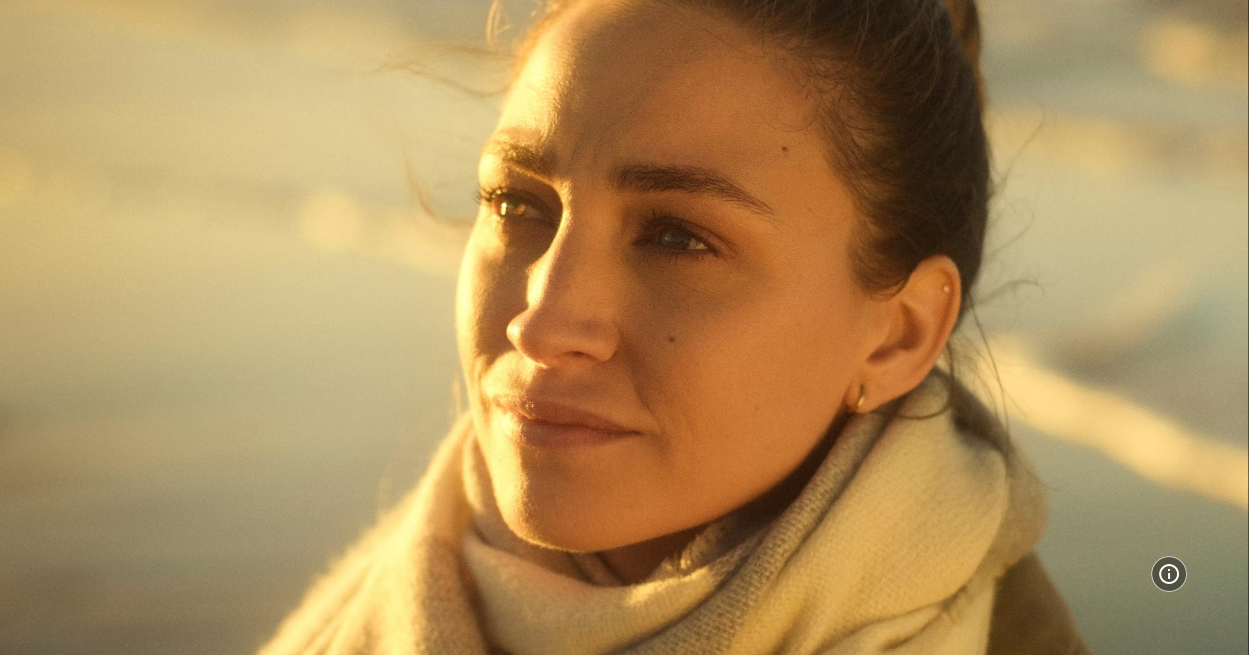 Screenshot 2024-12-16 at 21-25-40 The Last Time You Saw Me.png