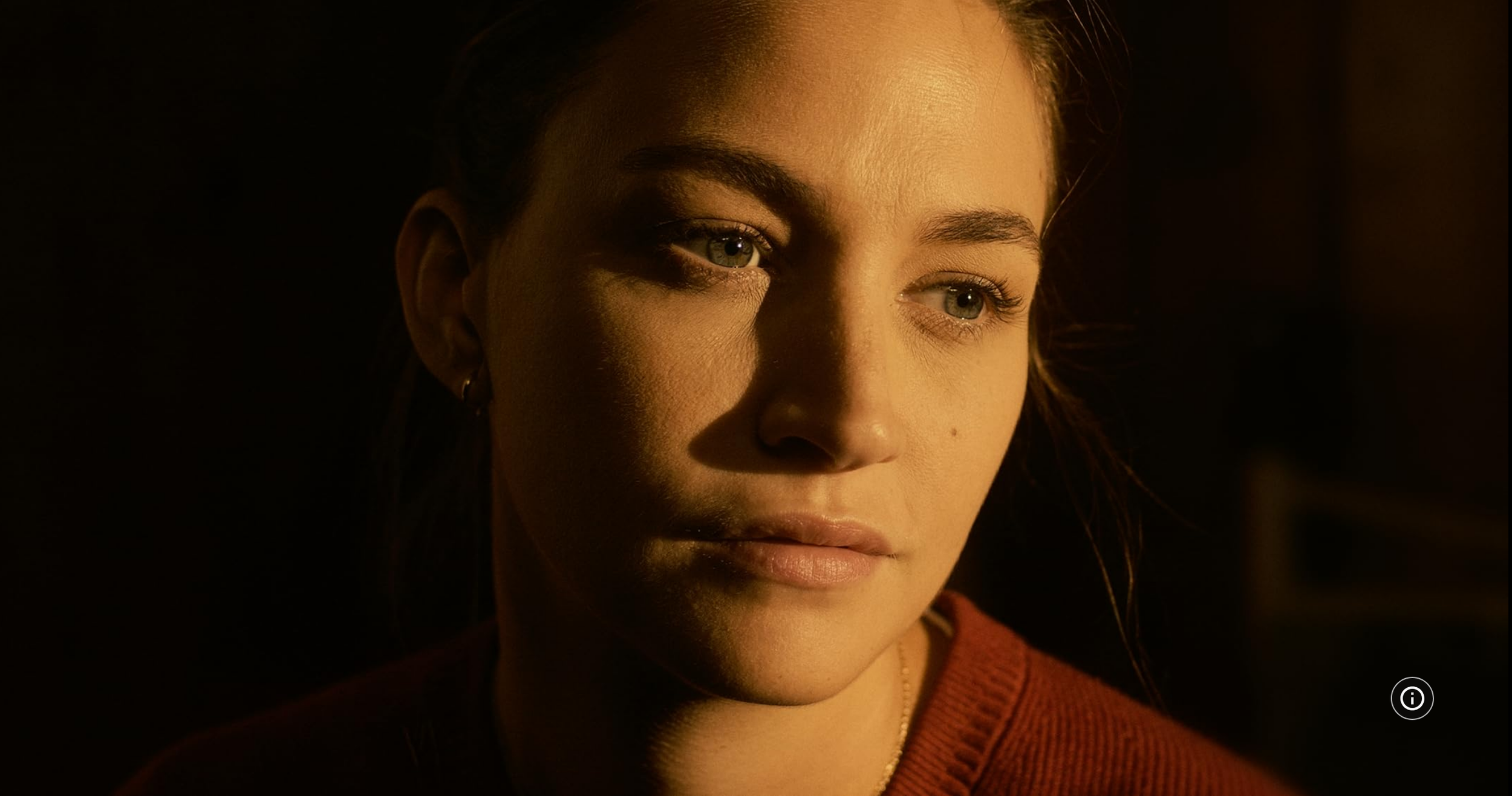 Screenshot 2024-12-16 at 21-48-35 The Last Time You Saw Me.png