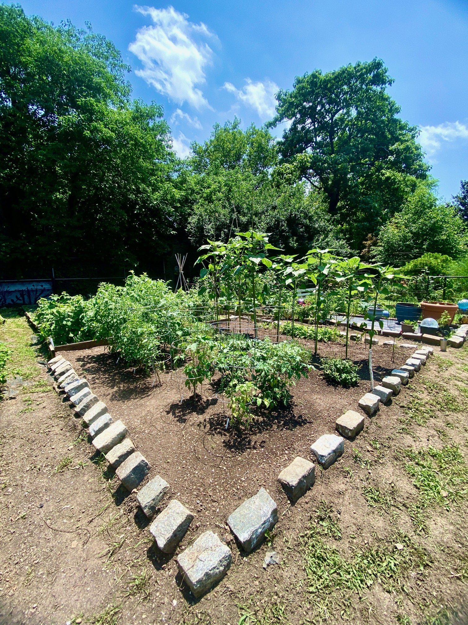 GardenArea1.jpg