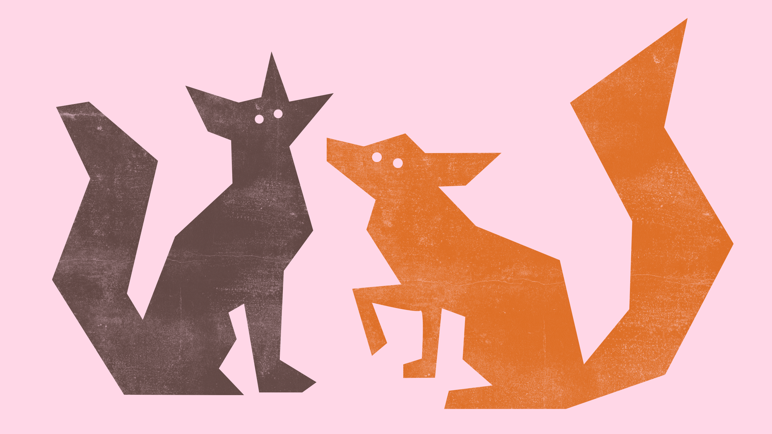 Urban Fox