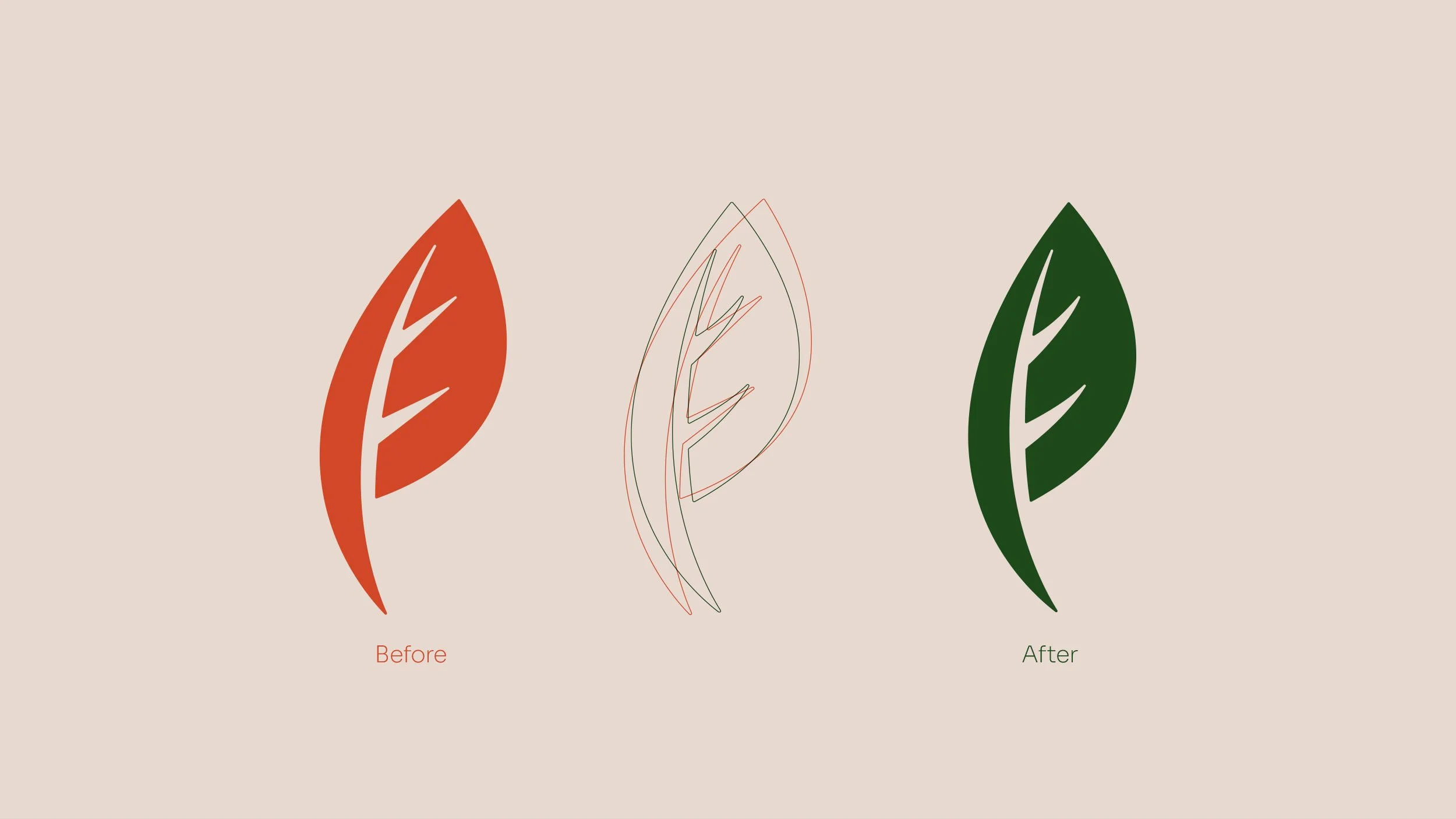 Plunkett_case study logo redraw.jpg