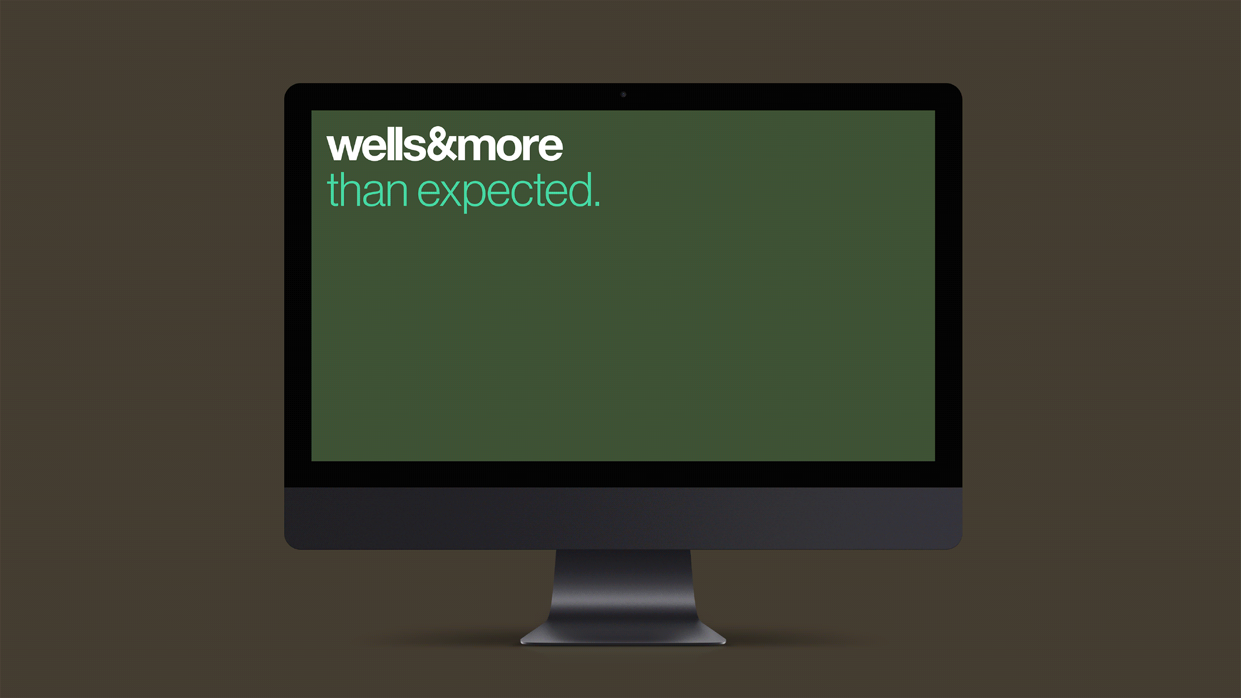 wells&more-new brochure.gif