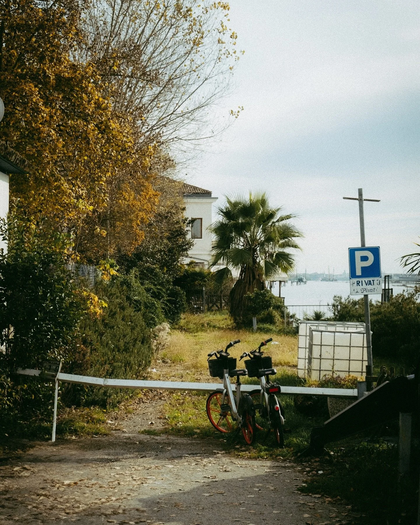 Tuscany on film.
_____________
#tuscany #tuscanstyle #filmphoto #kodak