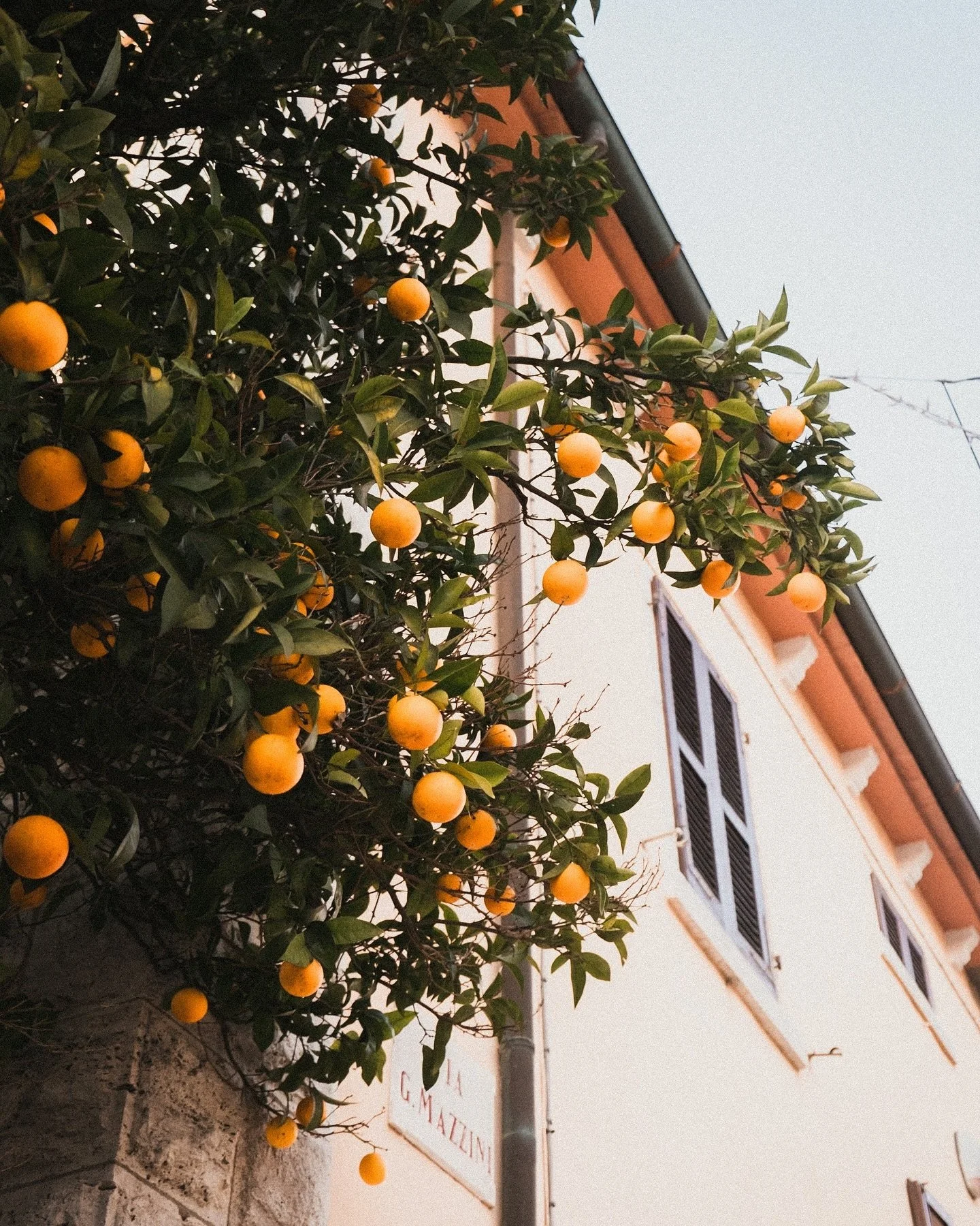 Tuscany in December.
______________________
#tuscanygram #photoﬁlmy #new_photoitaly