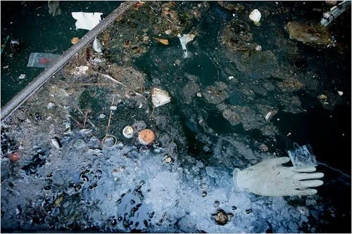 We're Famous - Gowanus Gains National Attention