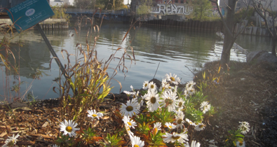 Gowanus Conservancy Bio-Swales