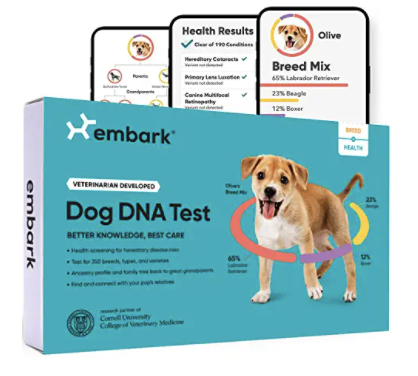 Embark DNA Test (Copy)