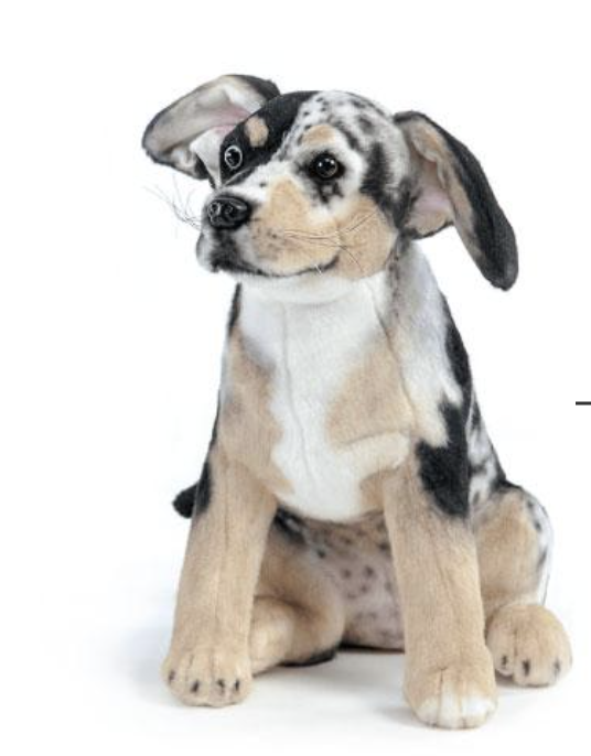 Stuffed Animal Dog Replica (Copy)