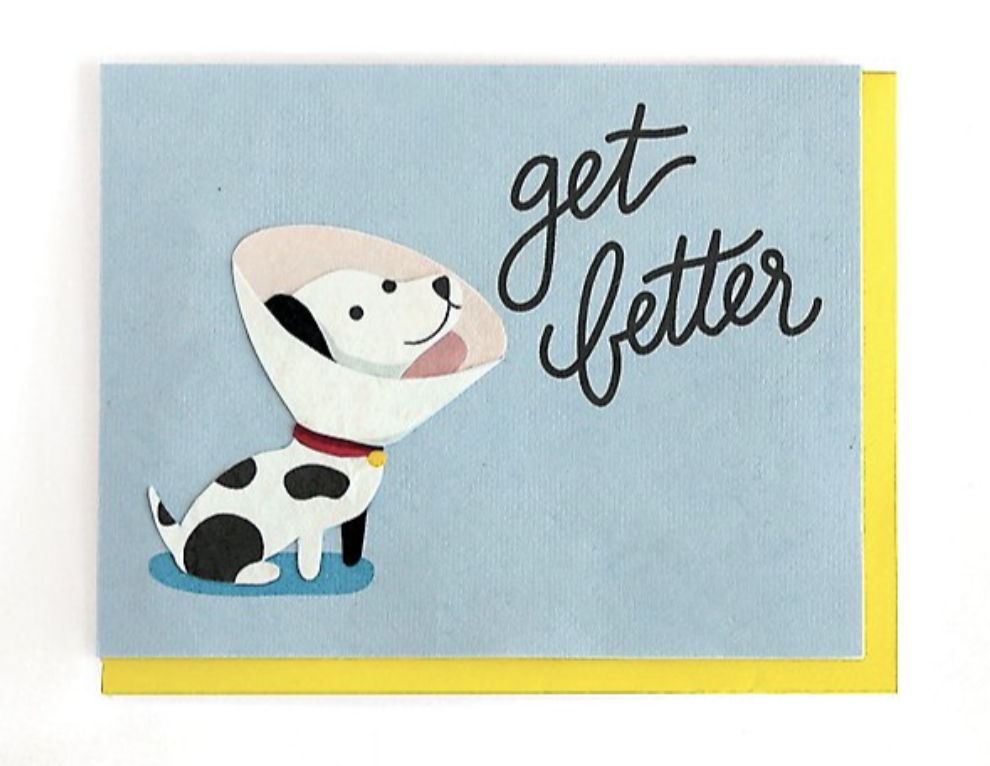 Get Better Dog Card