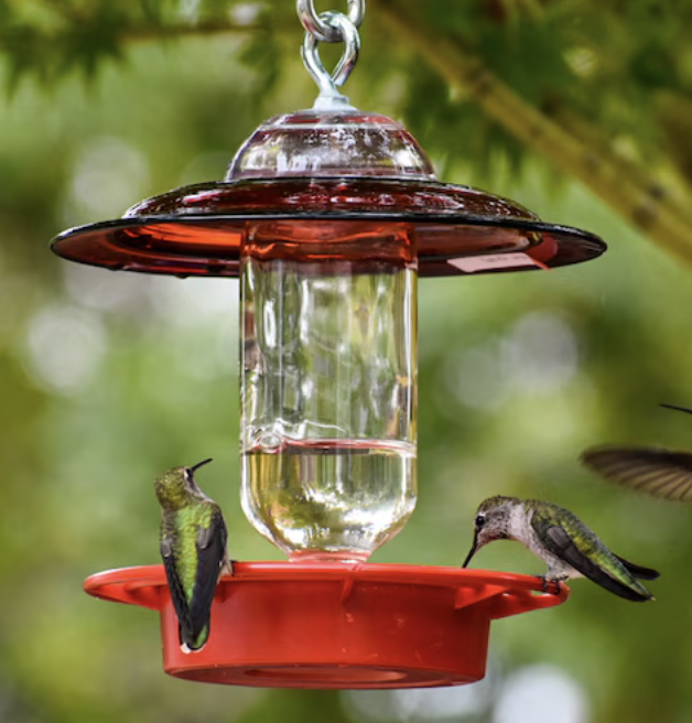 Hummingbird Feeder