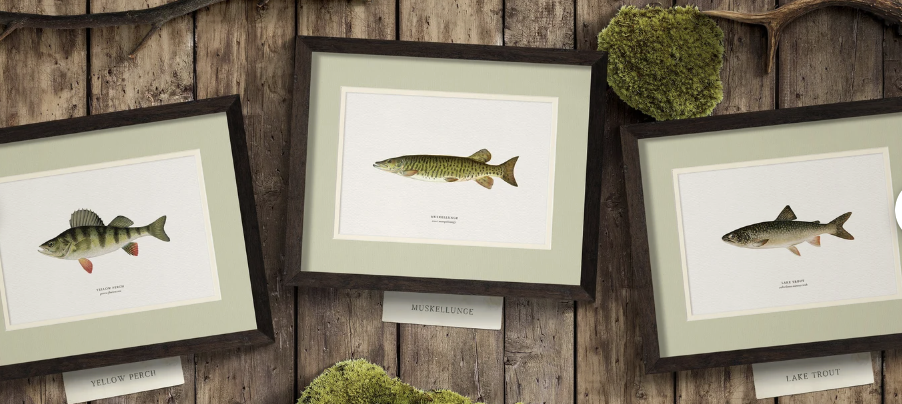 Antique Fish Prints