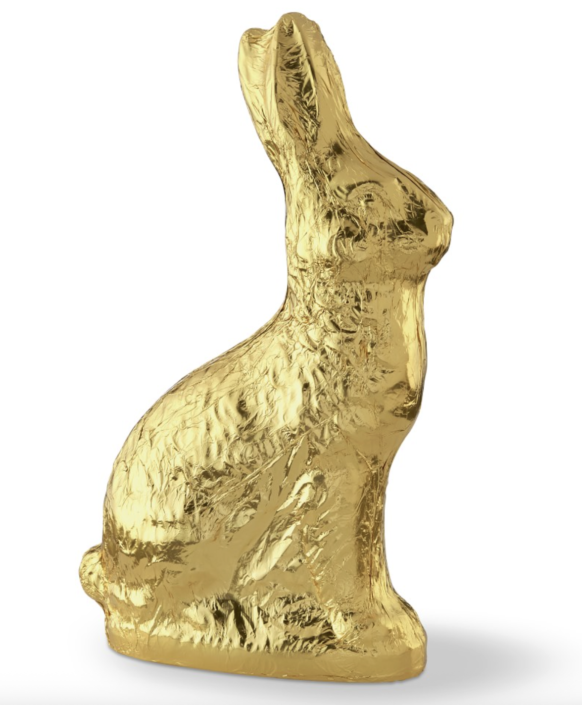 Chocolate Bunny