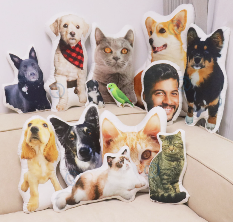 Personalized Dog Pillow