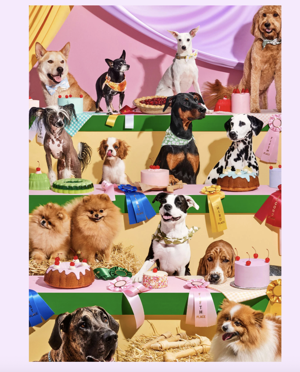 Piecework Top Dog Puzzle