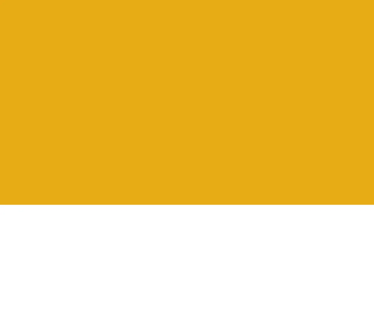 yellowbackground.jpg