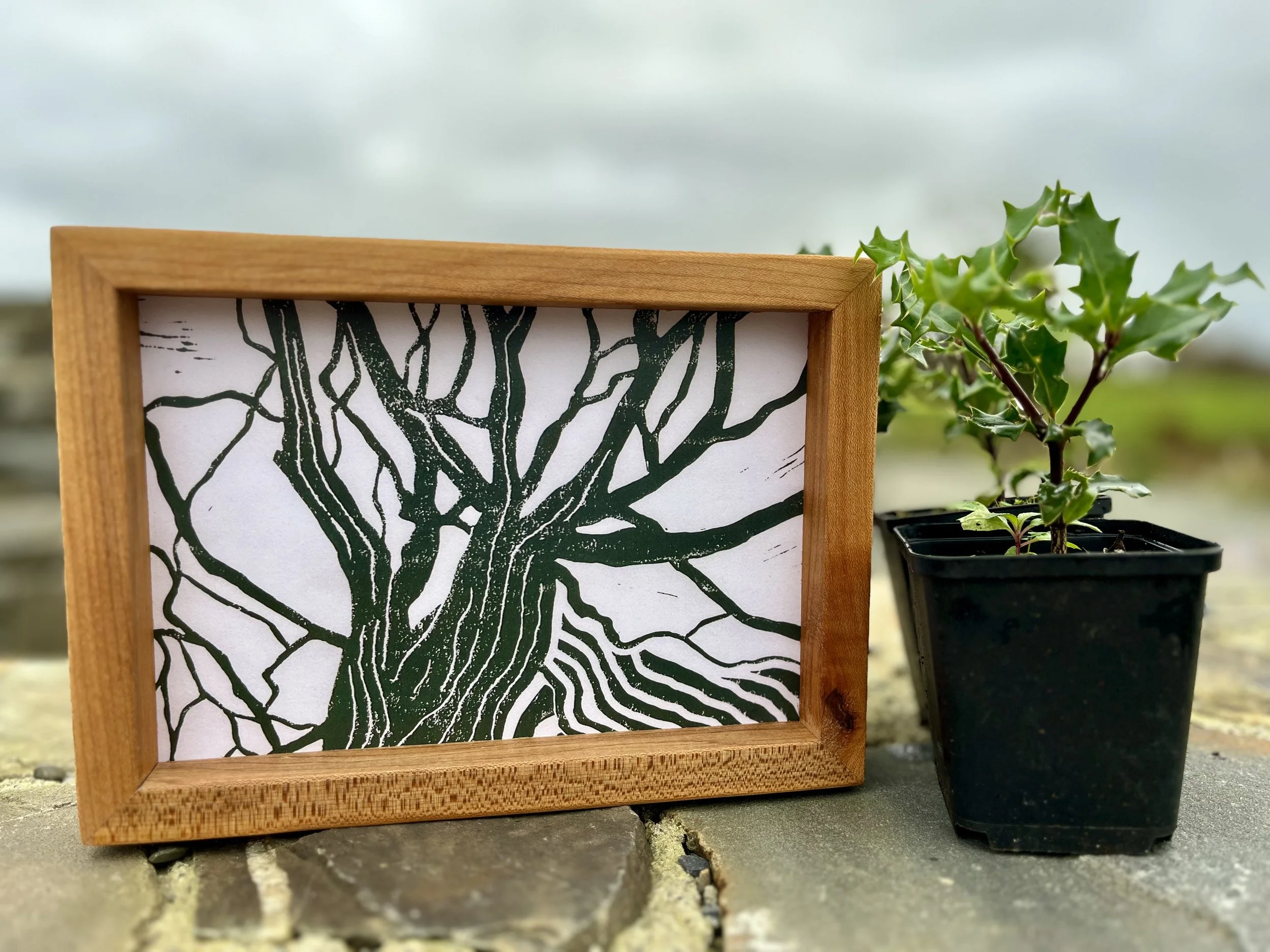 Native Tree(s) Planted + Reclaimed Wood Frame — Hometree