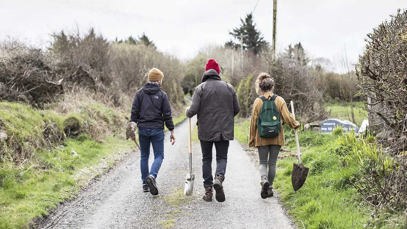 Community Tree Planting Day at Ilaun, Miltown Malbay, Co Clare