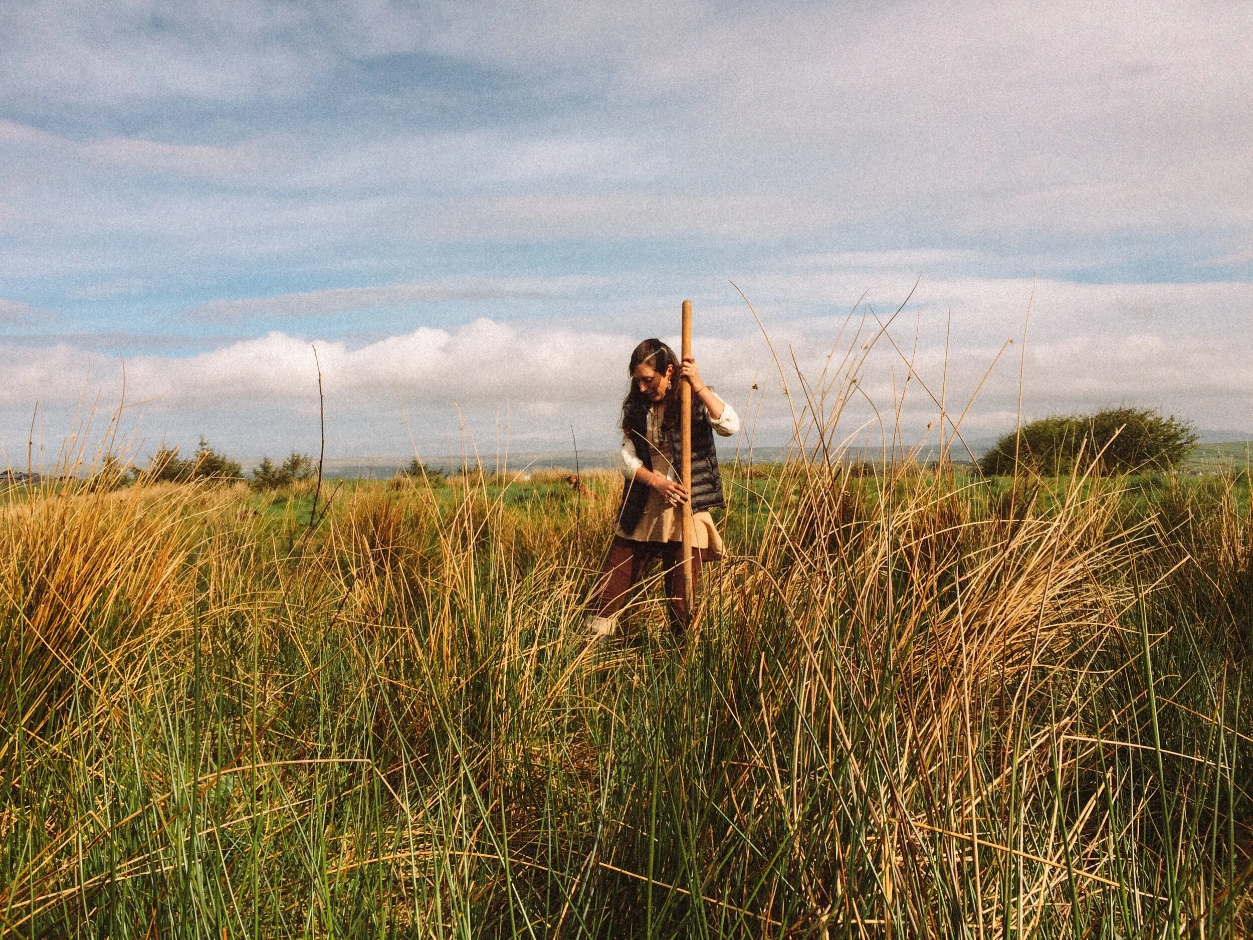 Celtic Fusion Design