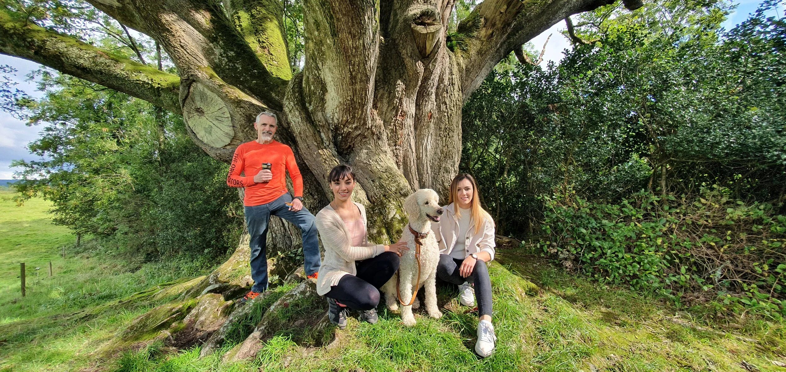 Palm Free Irish Soap