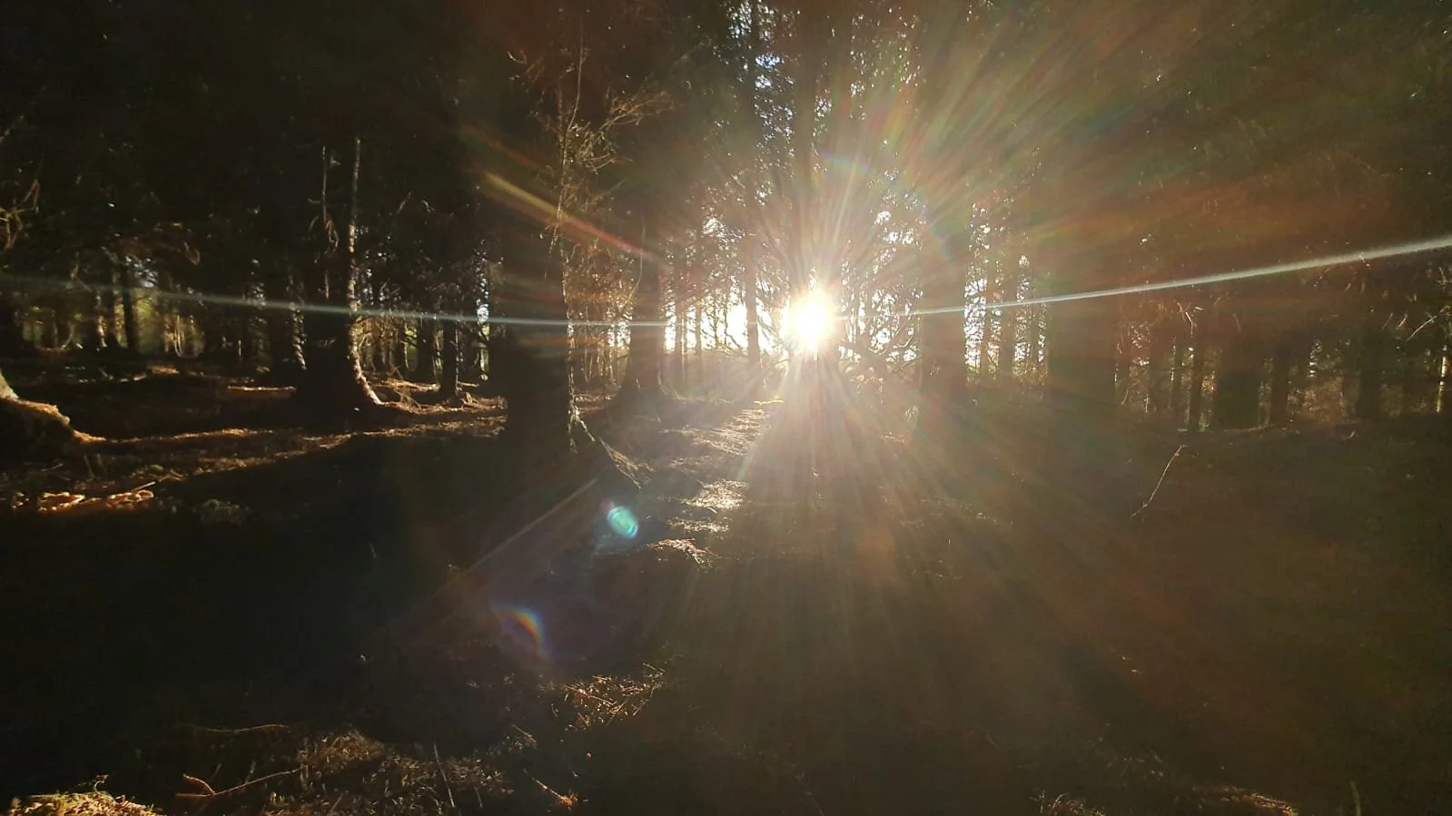 WhatsApp Image 2020-10-21 at 18.16.17 (1).jpeg