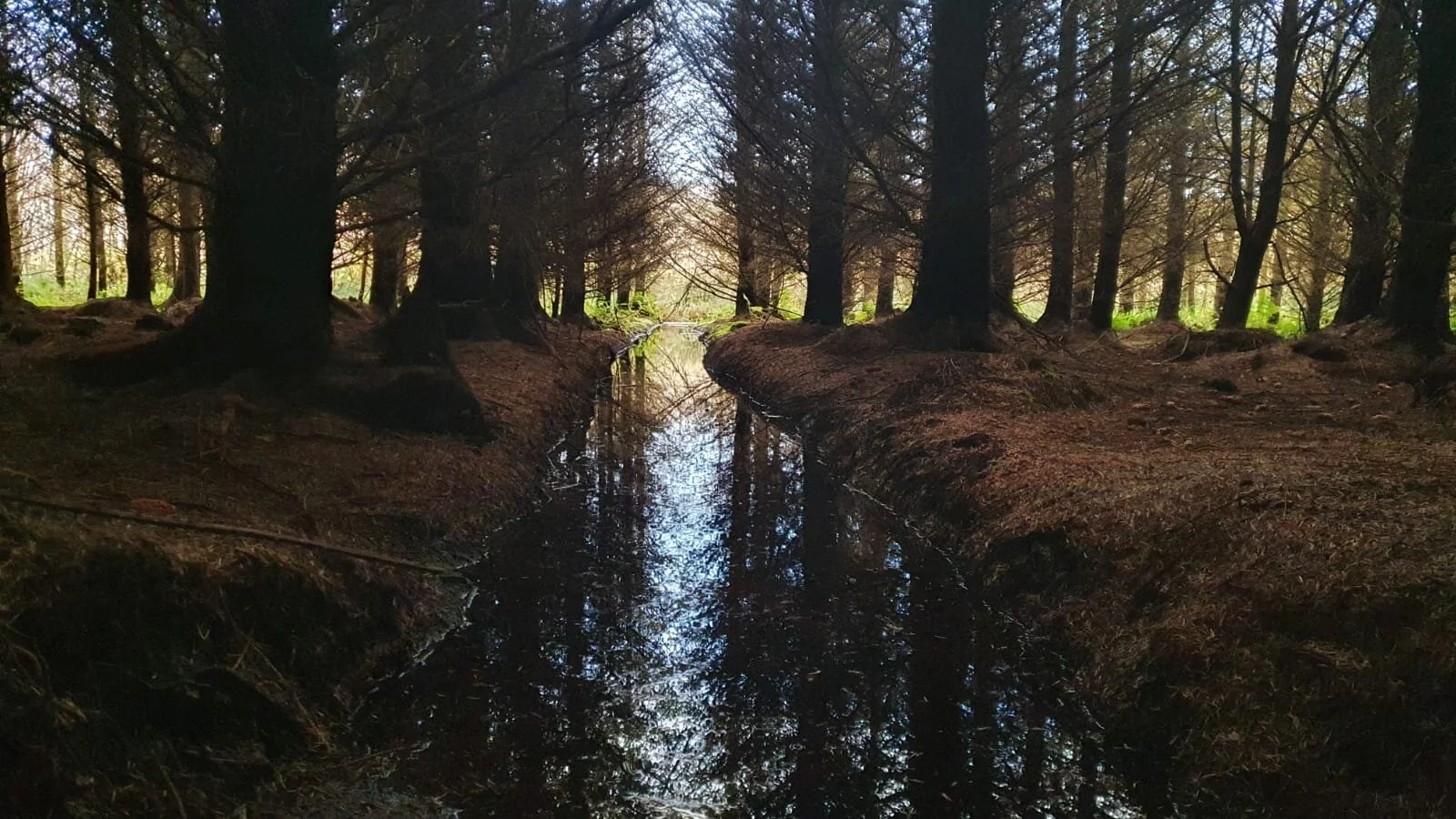 WhatsApp Image 2020-10-21 at 18.16.17.jpeg