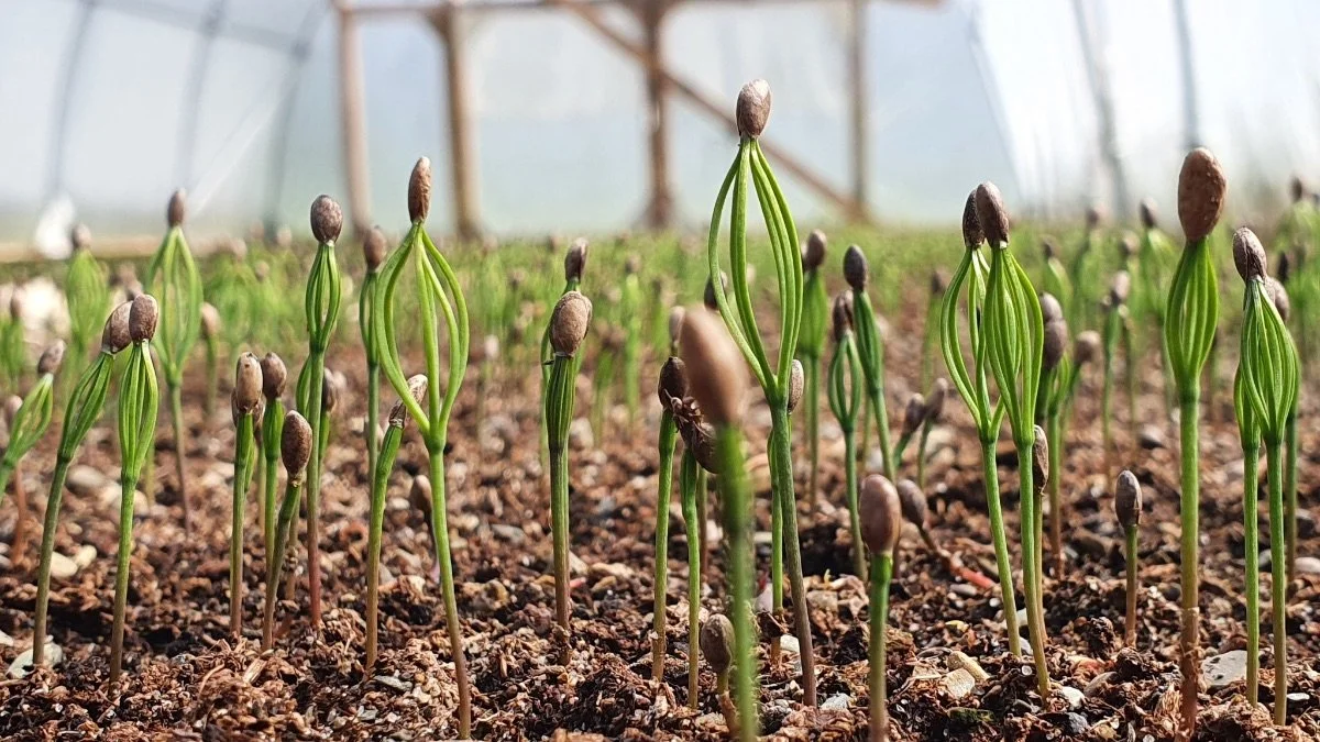 June Field Report, 2022