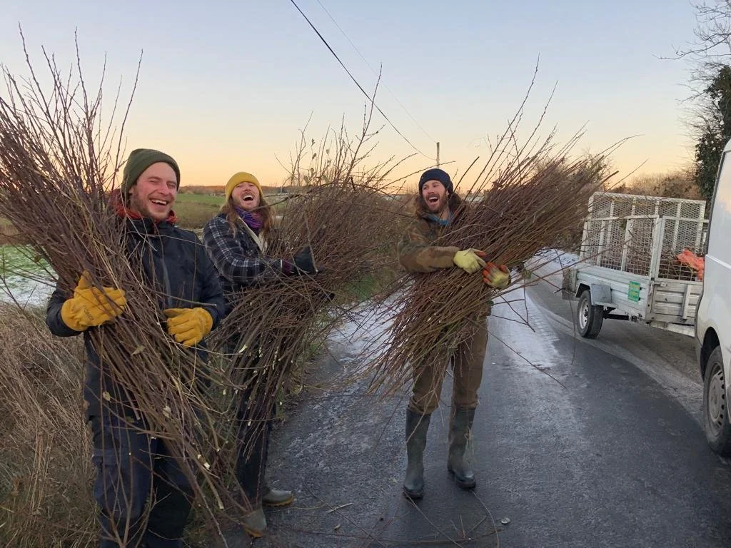 Fabian's Learning Experience at Hometree