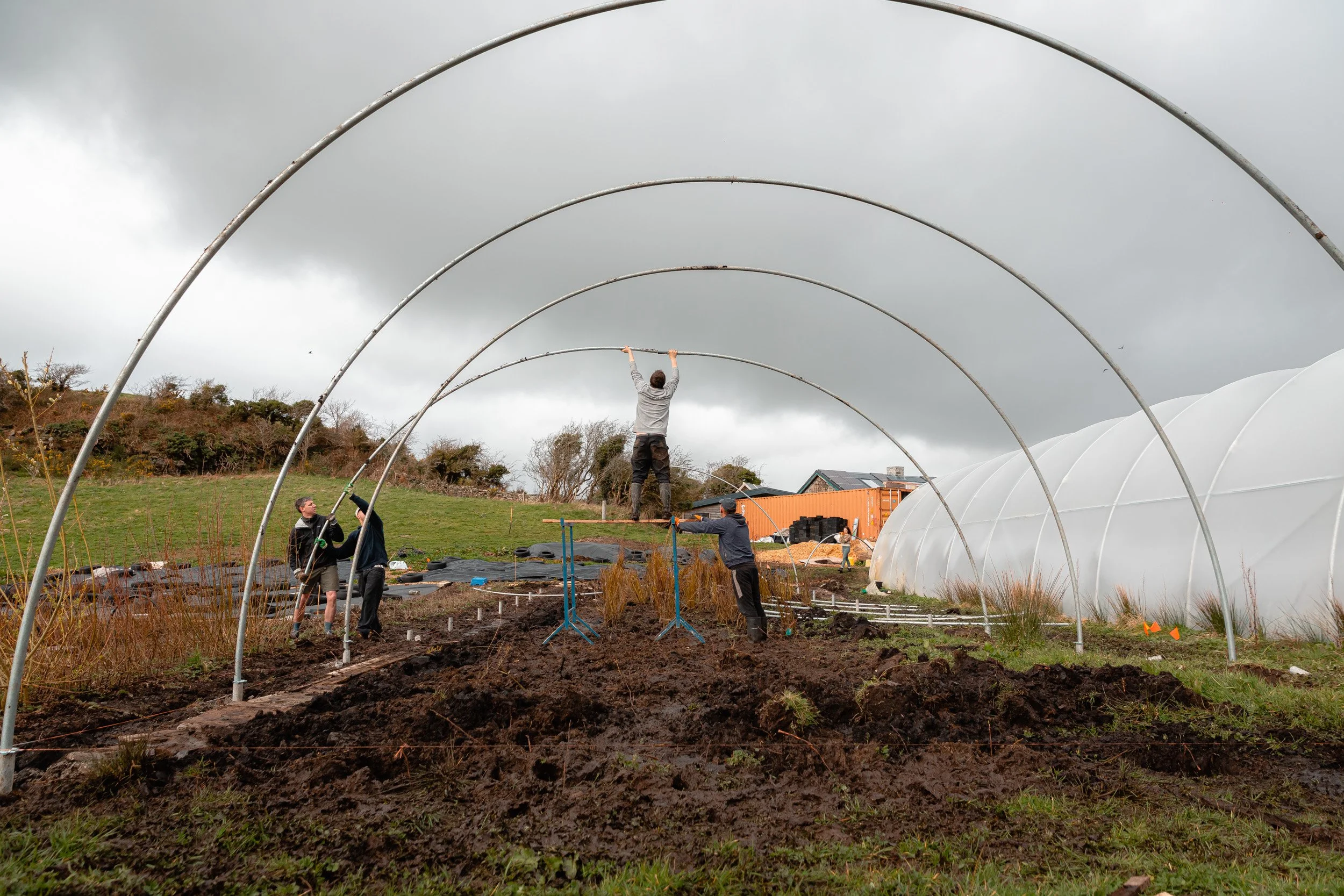 Update on Hometree's Organic Tree Nursery