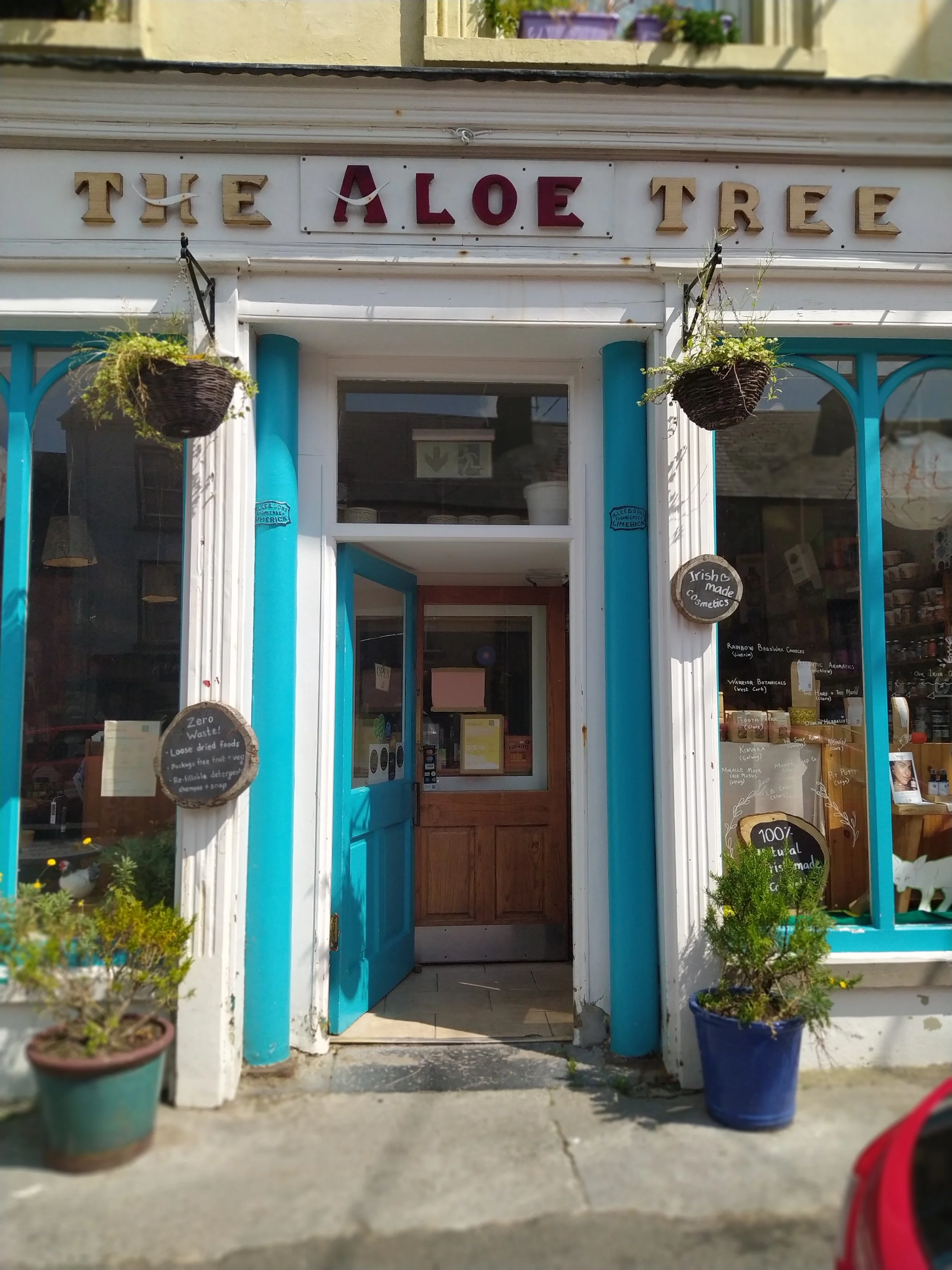 The Aloe Tree