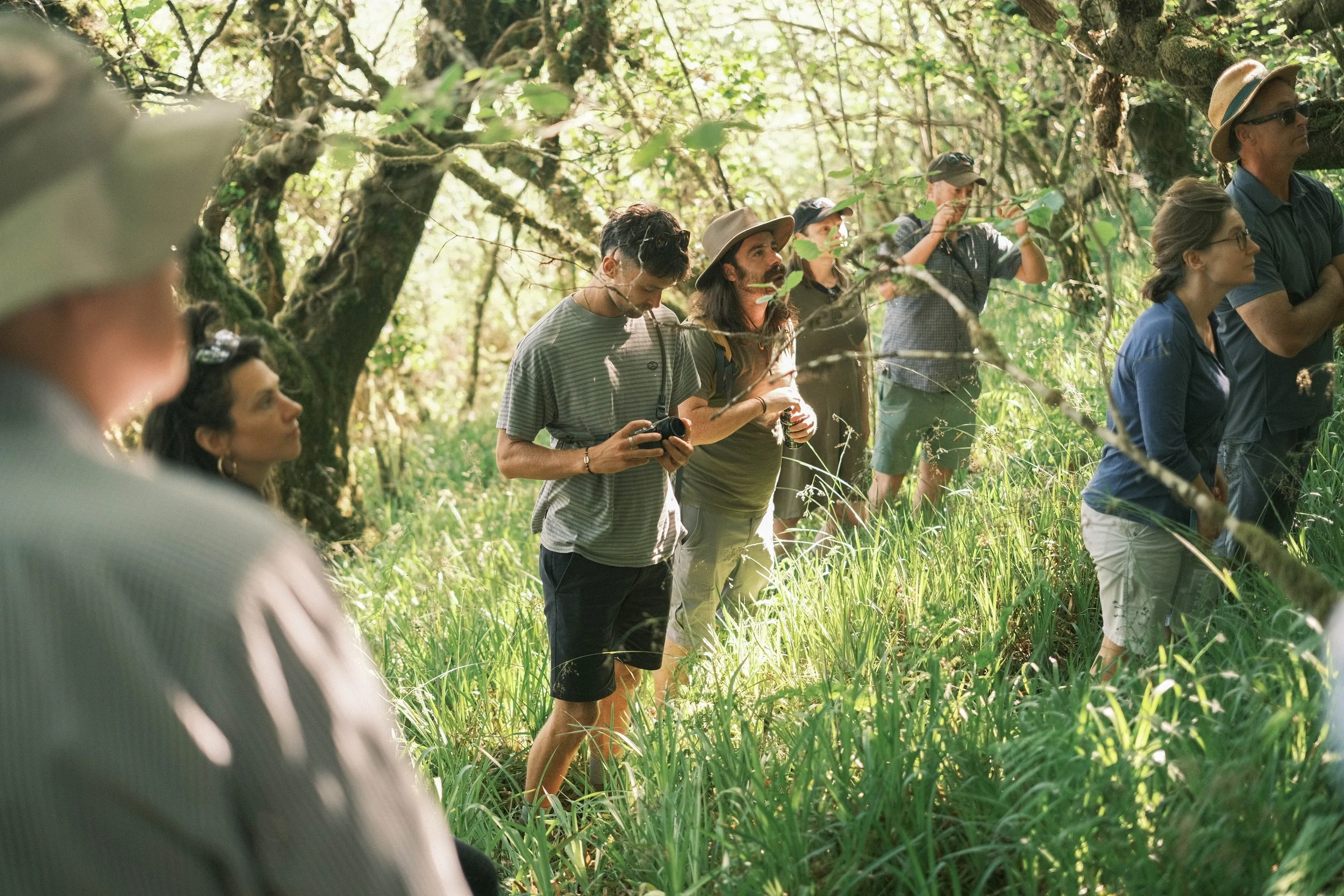 Nature Restoration Weekend — Hometree