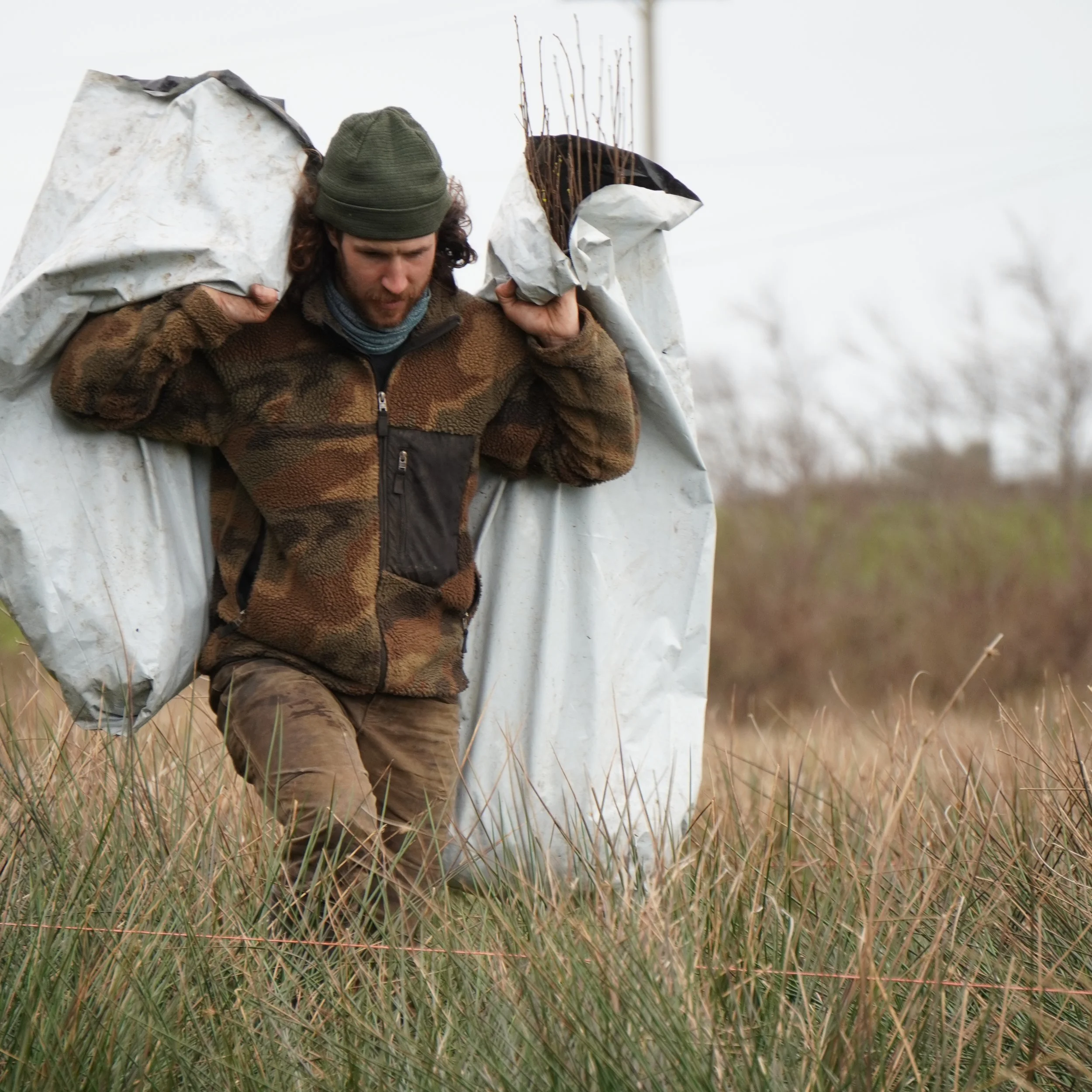 Community Tree Planting Day in Boley, Laois