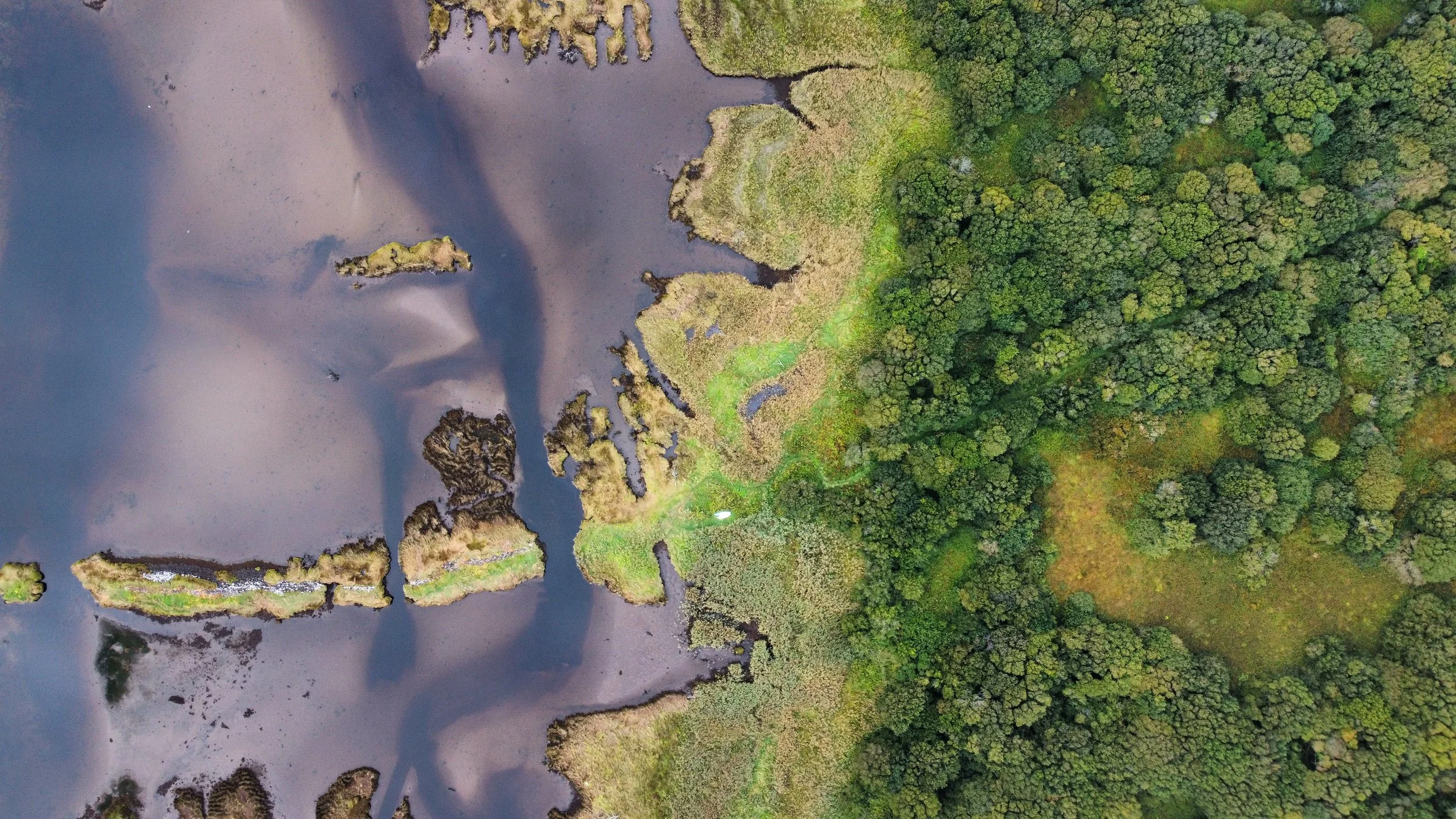 Connecting Woodlands in Mayo Talk