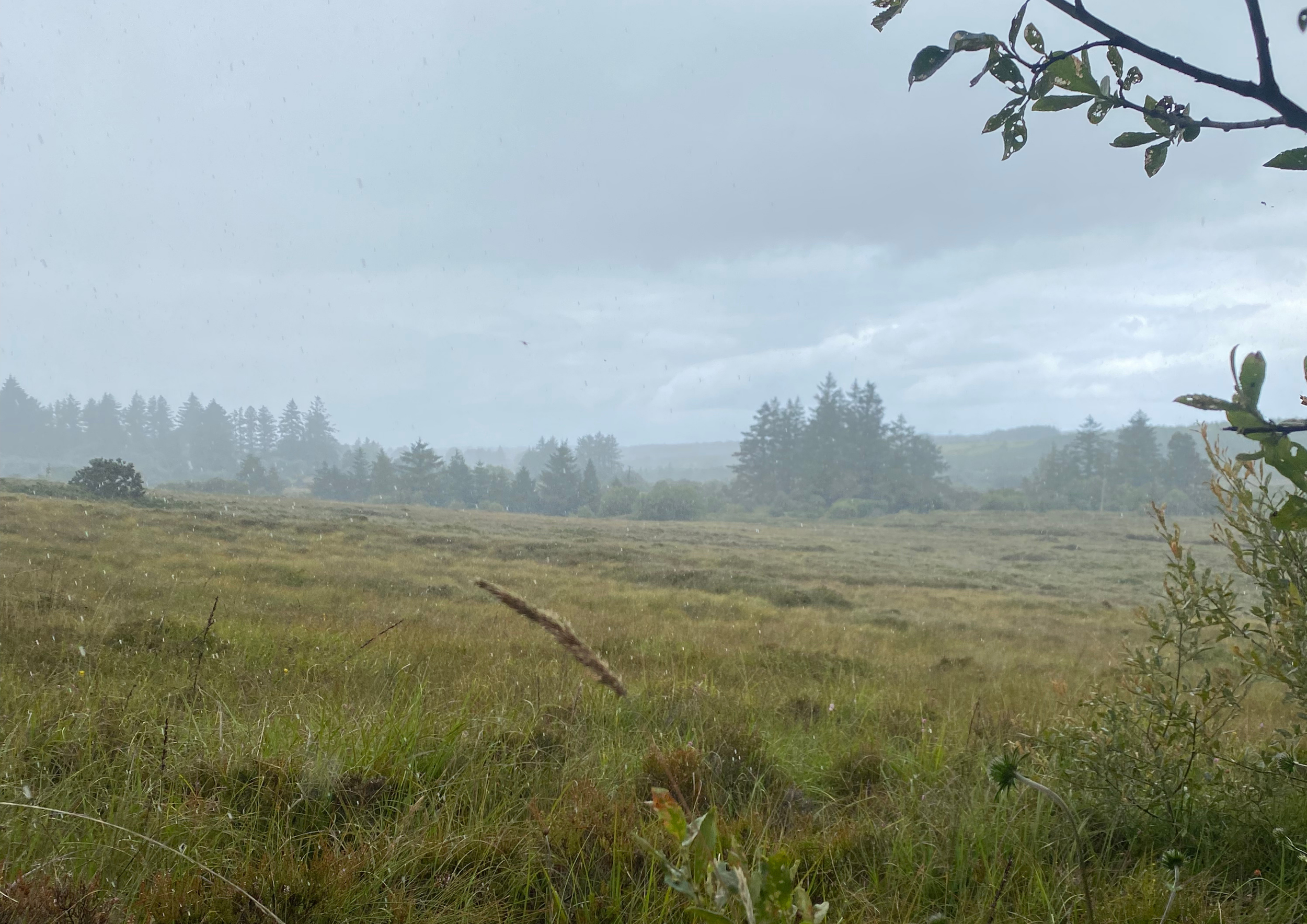 Citizen Science Community Day: Gleneaskey, Co Sligo