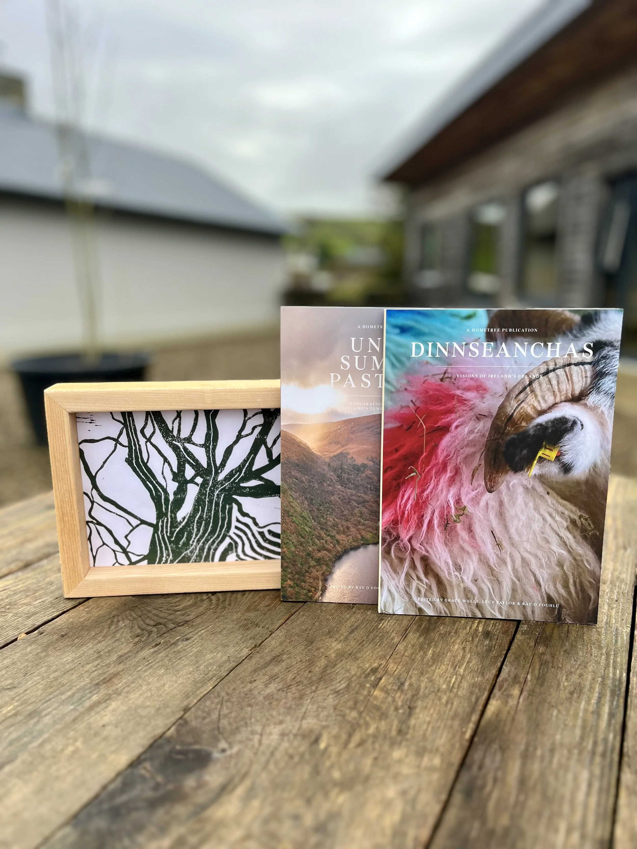 1 Native Tree Planted in a Reclaimed Wood Frame + Book Bundle