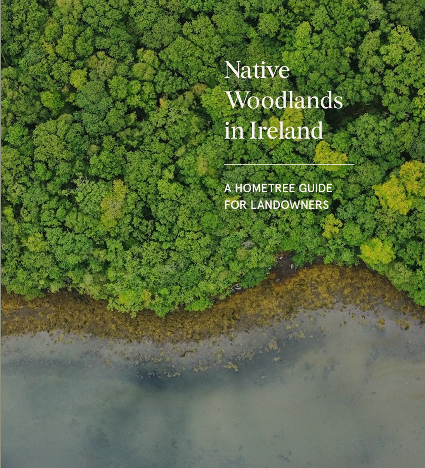 Native Woodlands in Ireland.png