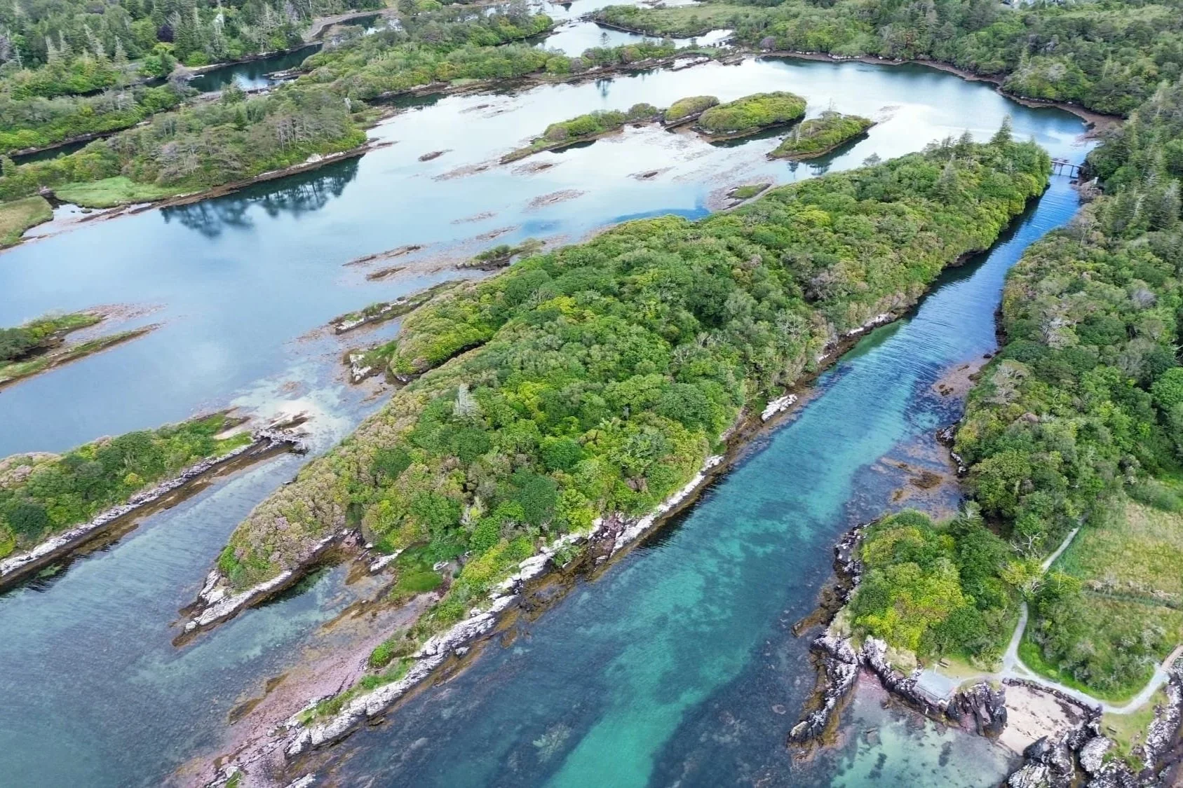 If Nature Is Our Most Precious Asset, Why Don't We Invest in It?
