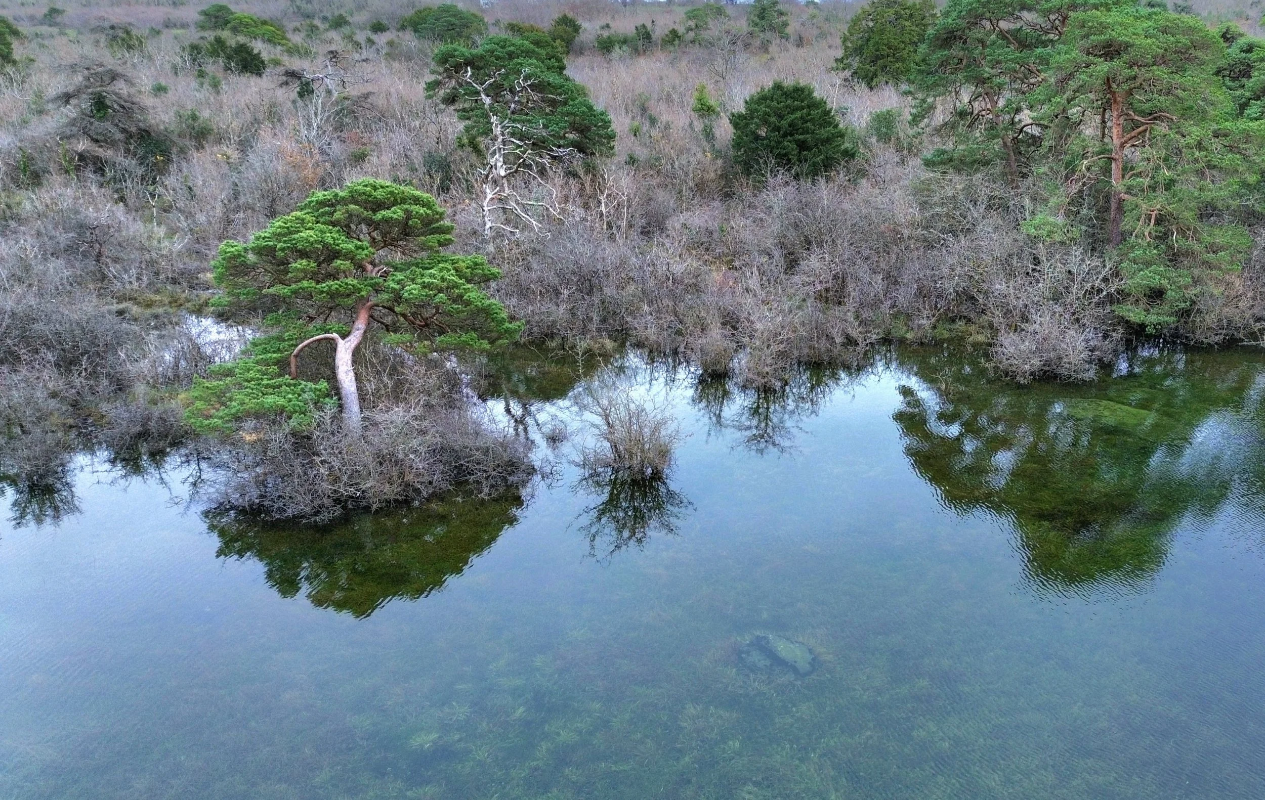 dji_fly_20231125_151450_534_1700925987215_photo_optimized (1).jpg