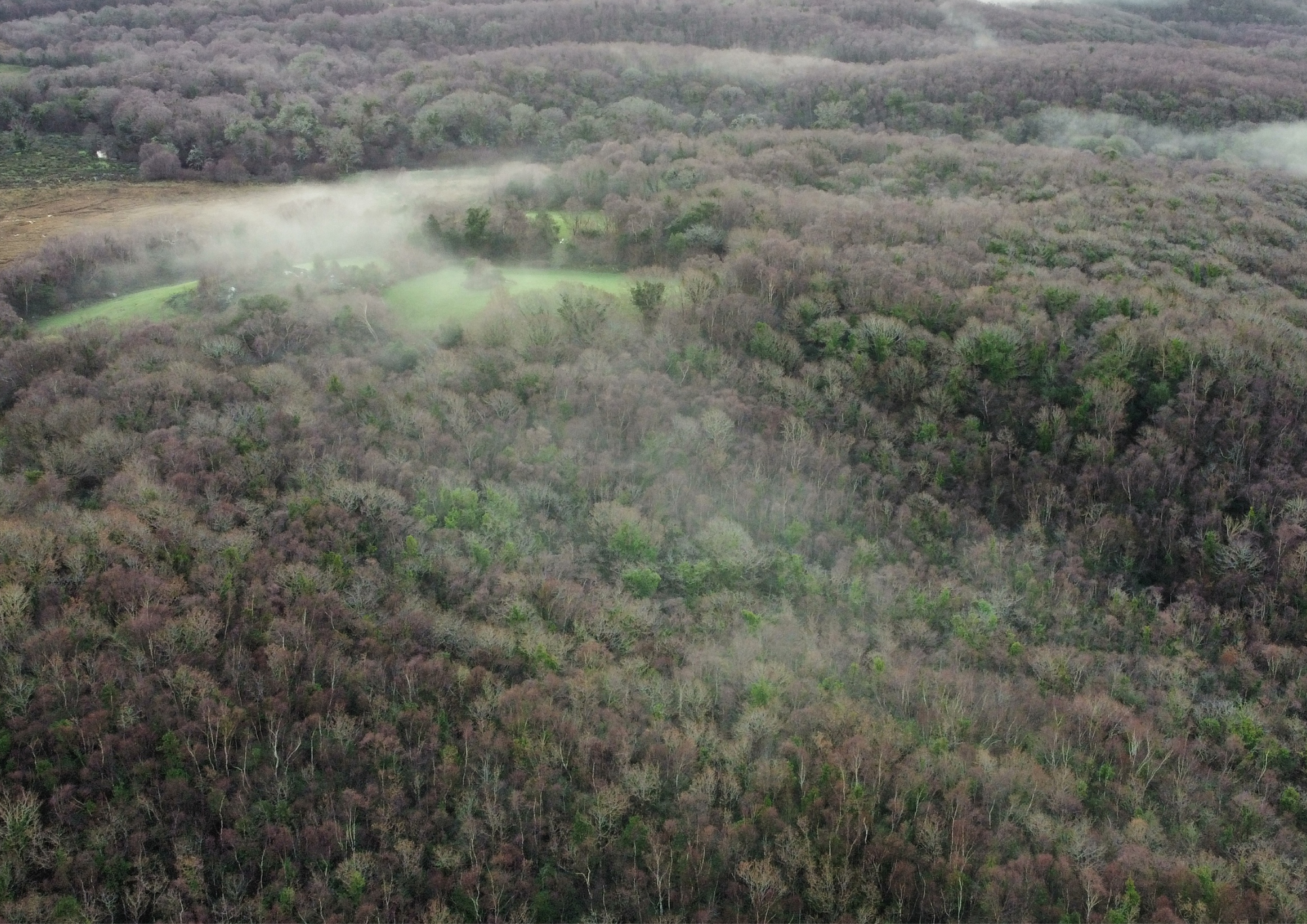 Woodlands drone.png